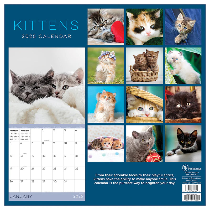 2025 Kittens - Square Wall Calendar