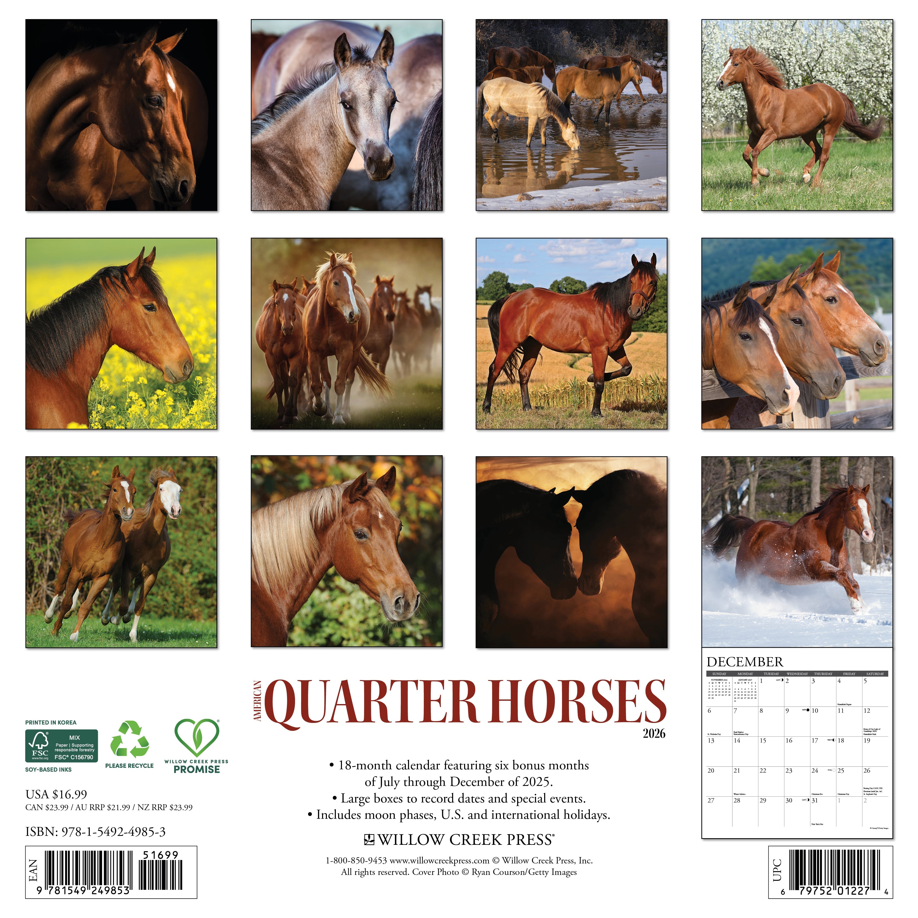 2026 American Quarter Horses - Square Wall Calendar