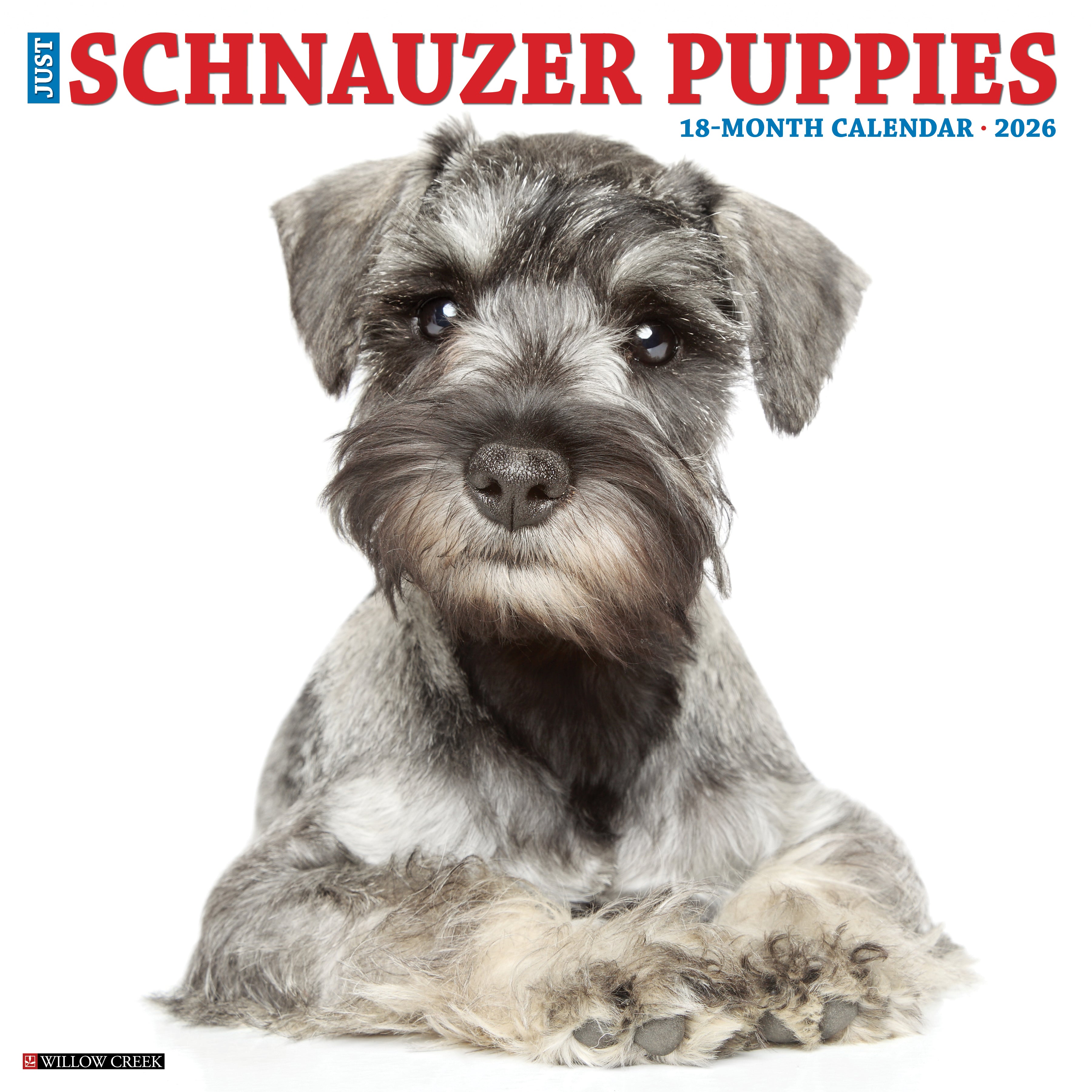 2026 Schnauzer Puppies - Square Wall Calendar