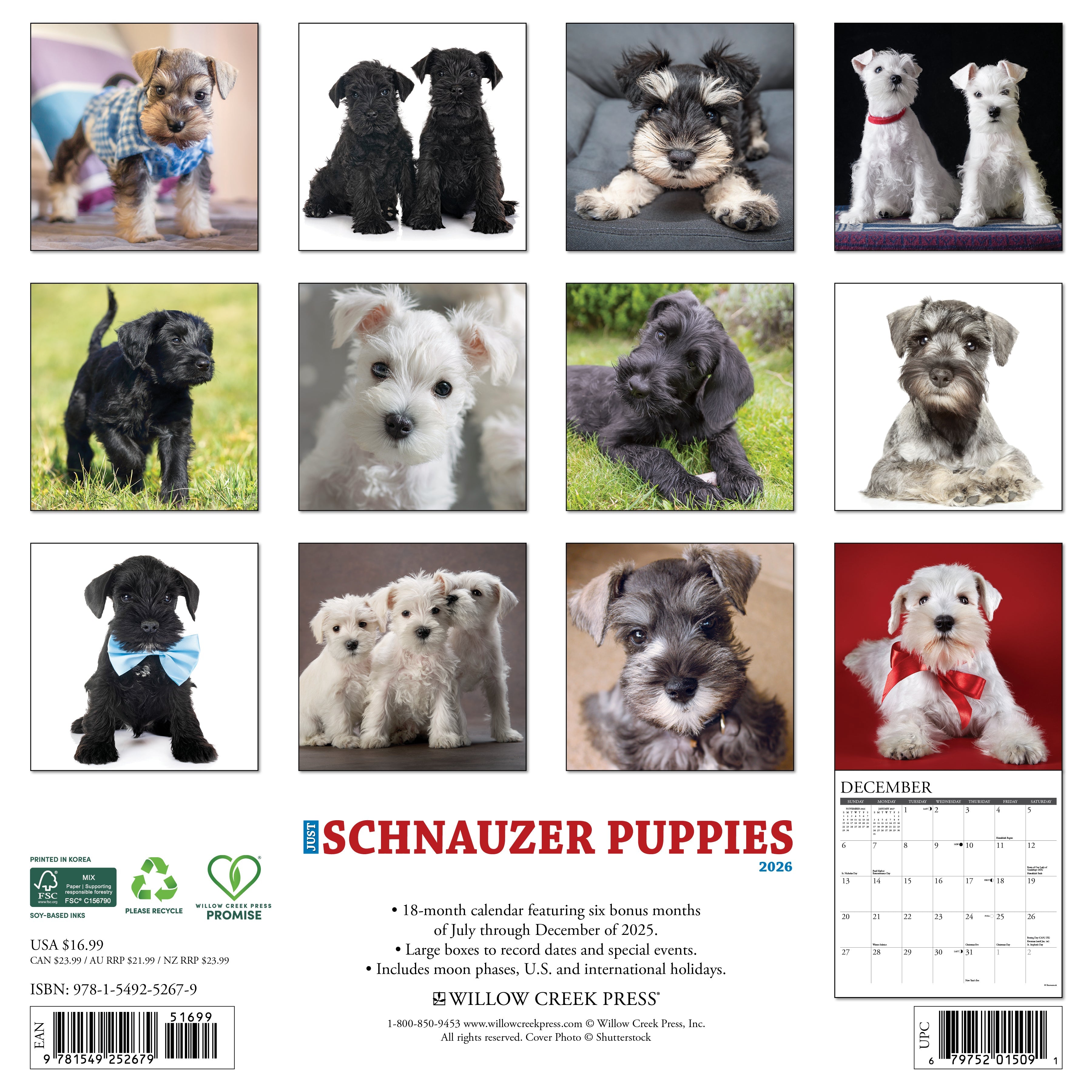 2026 Schnauzer Puppies - Square Wall Calendar