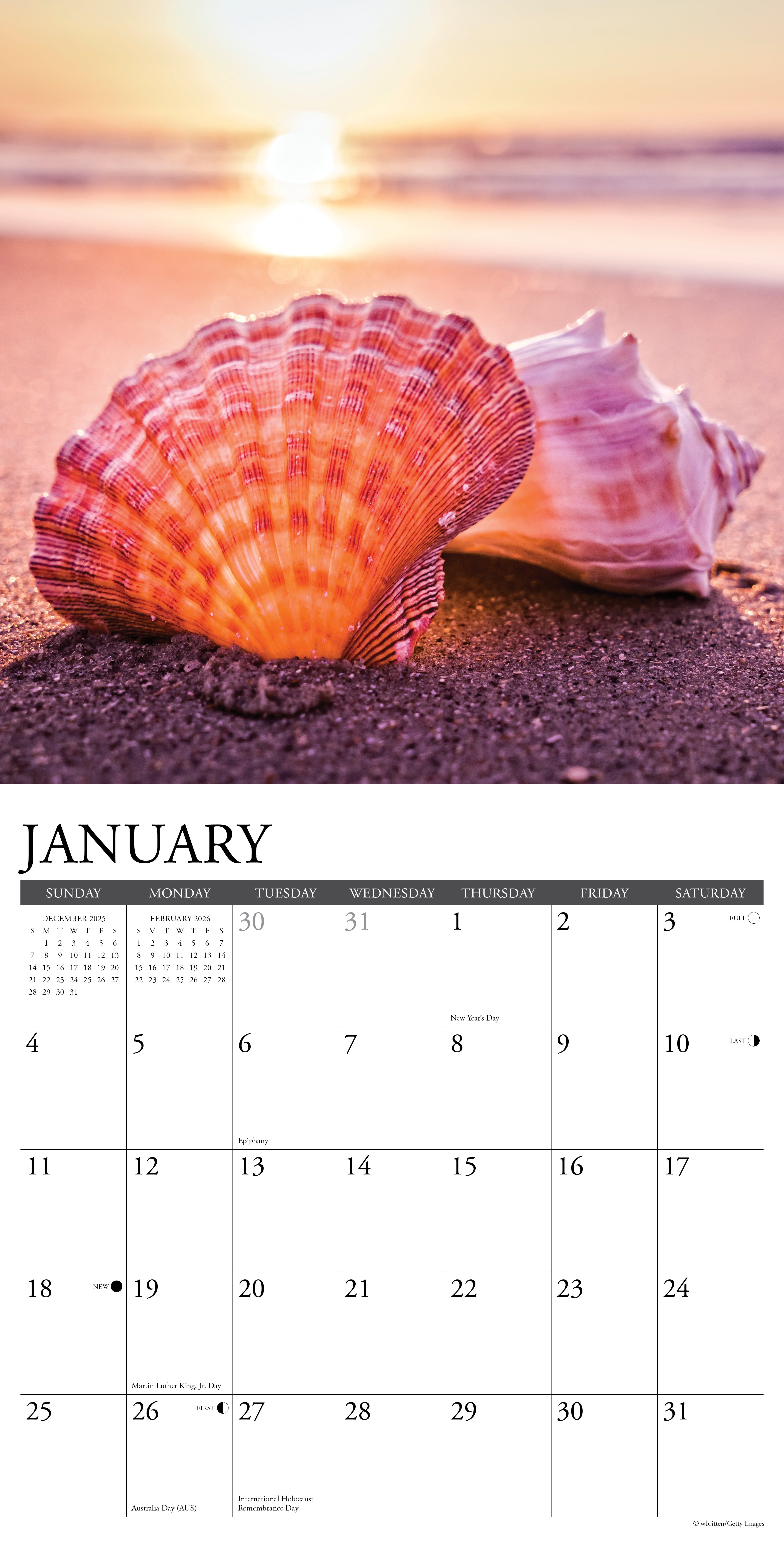 2026 Seashells - Square Wall Calendar