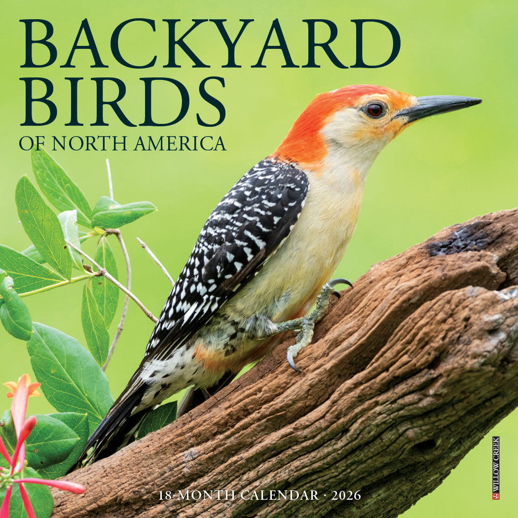 2026 Backyard Birds - Mini Wall Calendar