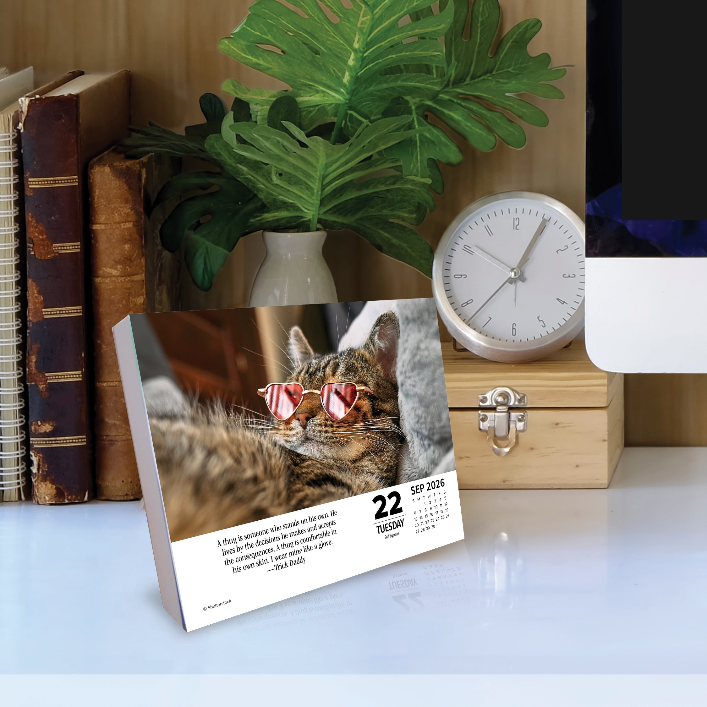 2026 Bad Kitties - Boxed Page-A-Day Calendar