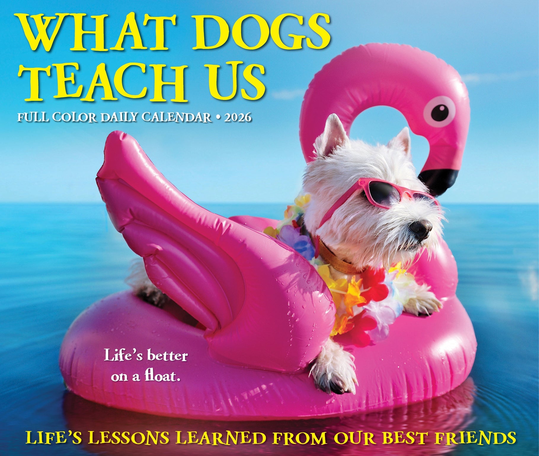 2026 What Dogs Teach Us - Boxed Page-A-Day Calendar