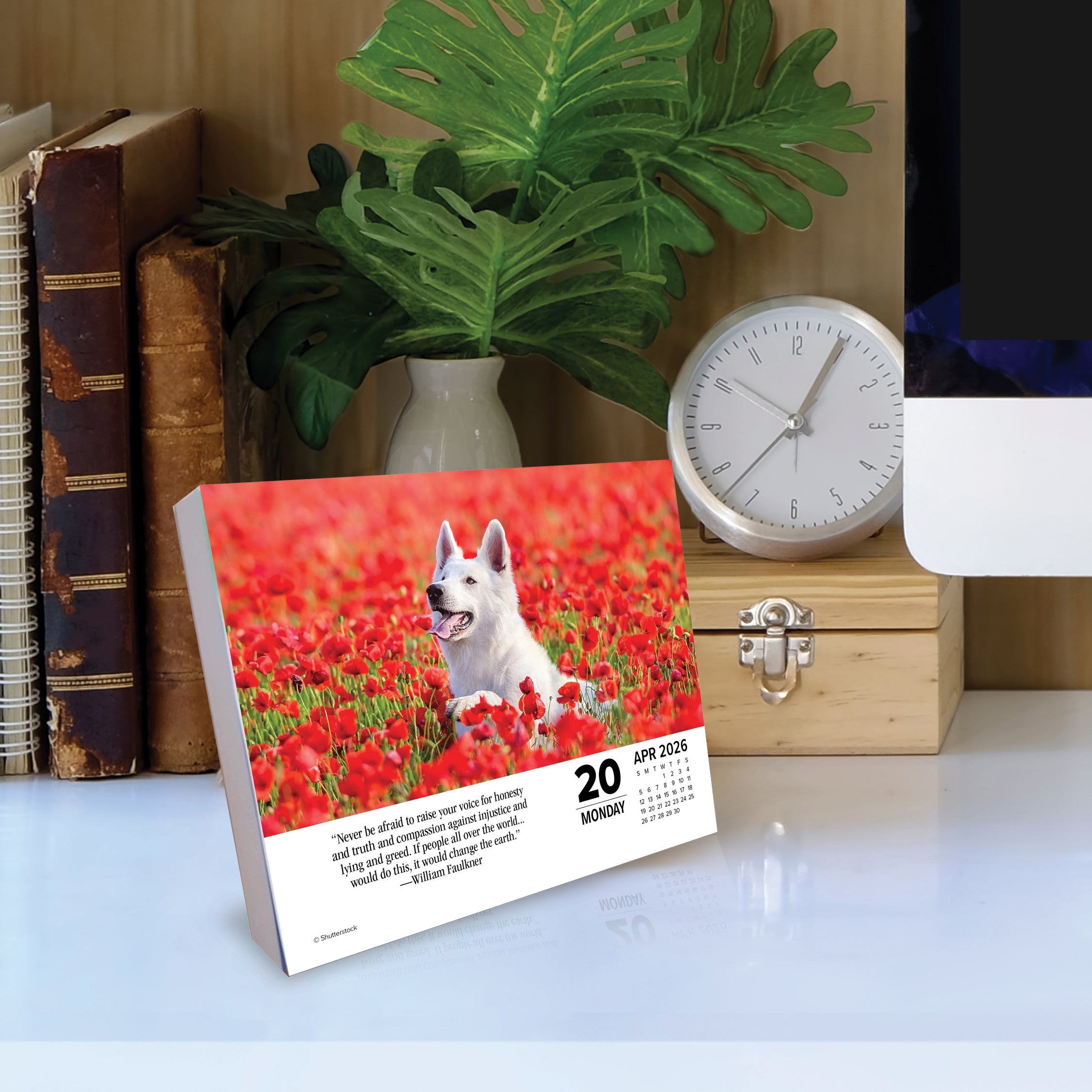 2026 What Dogs Teach Us - Boxed Page-A-Day Calendar