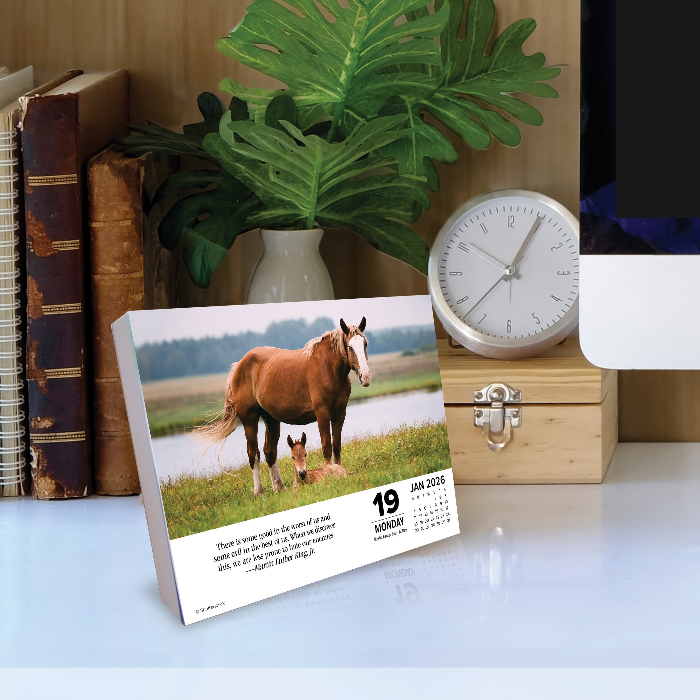 2026 What Horses Teach Us - Boxed Page-A-Day Calendar