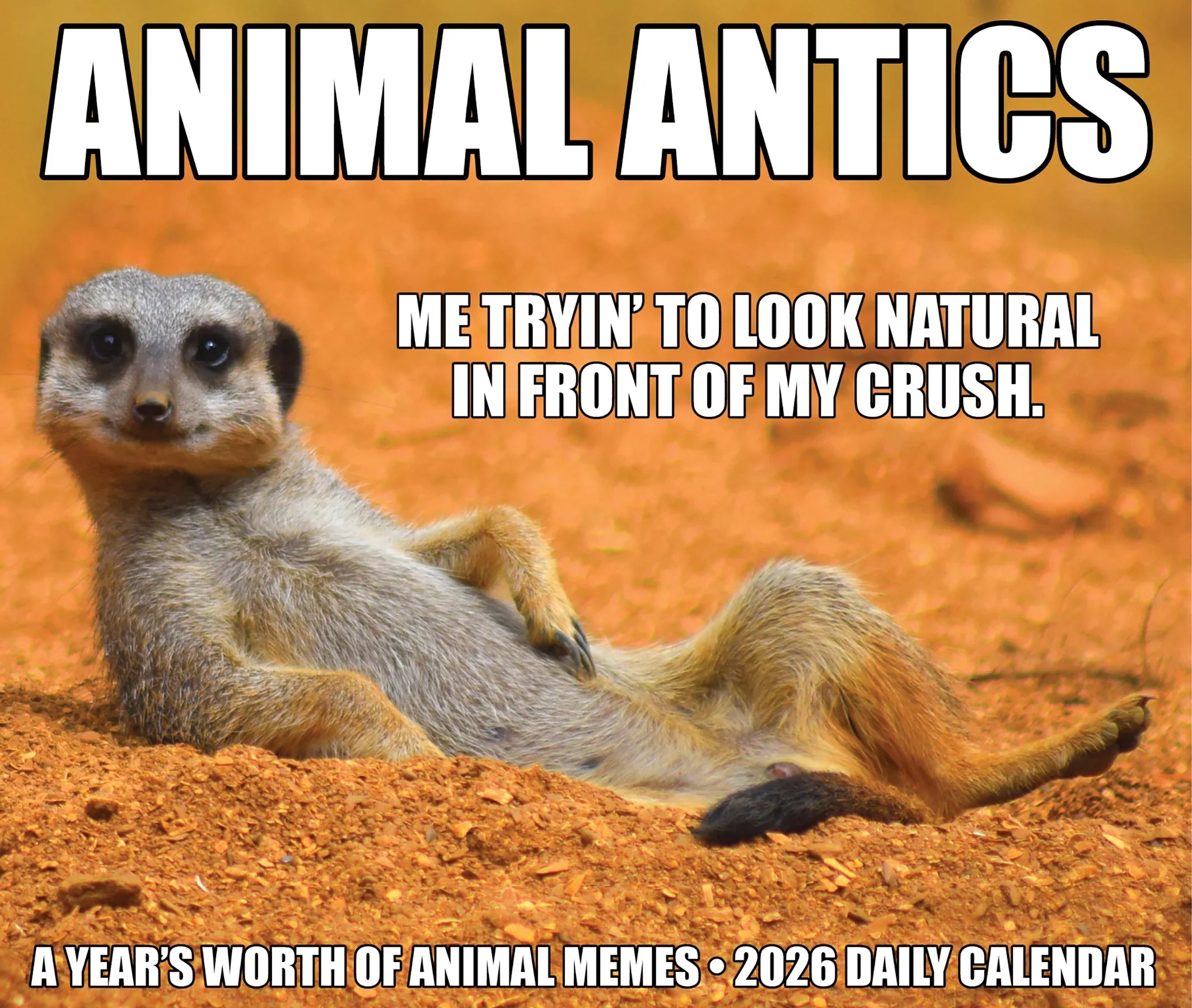 2026 Animal Antics - Boxed Page-A-Day Calendar