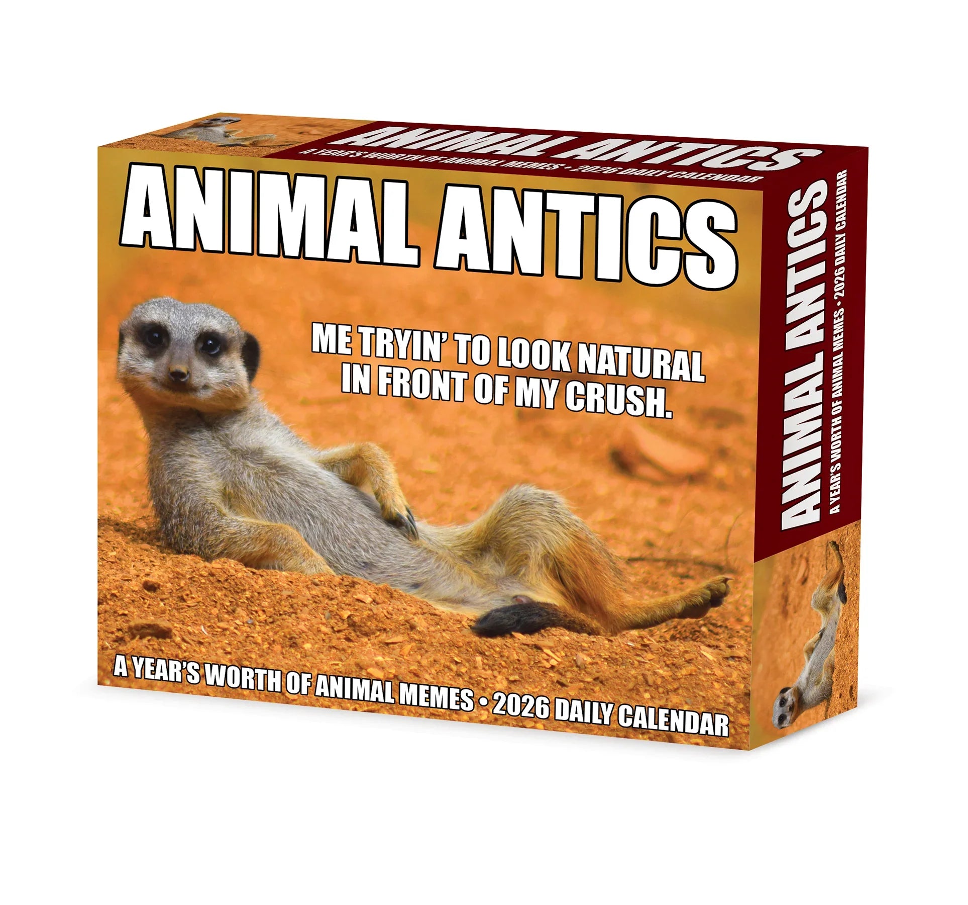 2026 Animal Antics - Boxed Page-A-Day Calendar