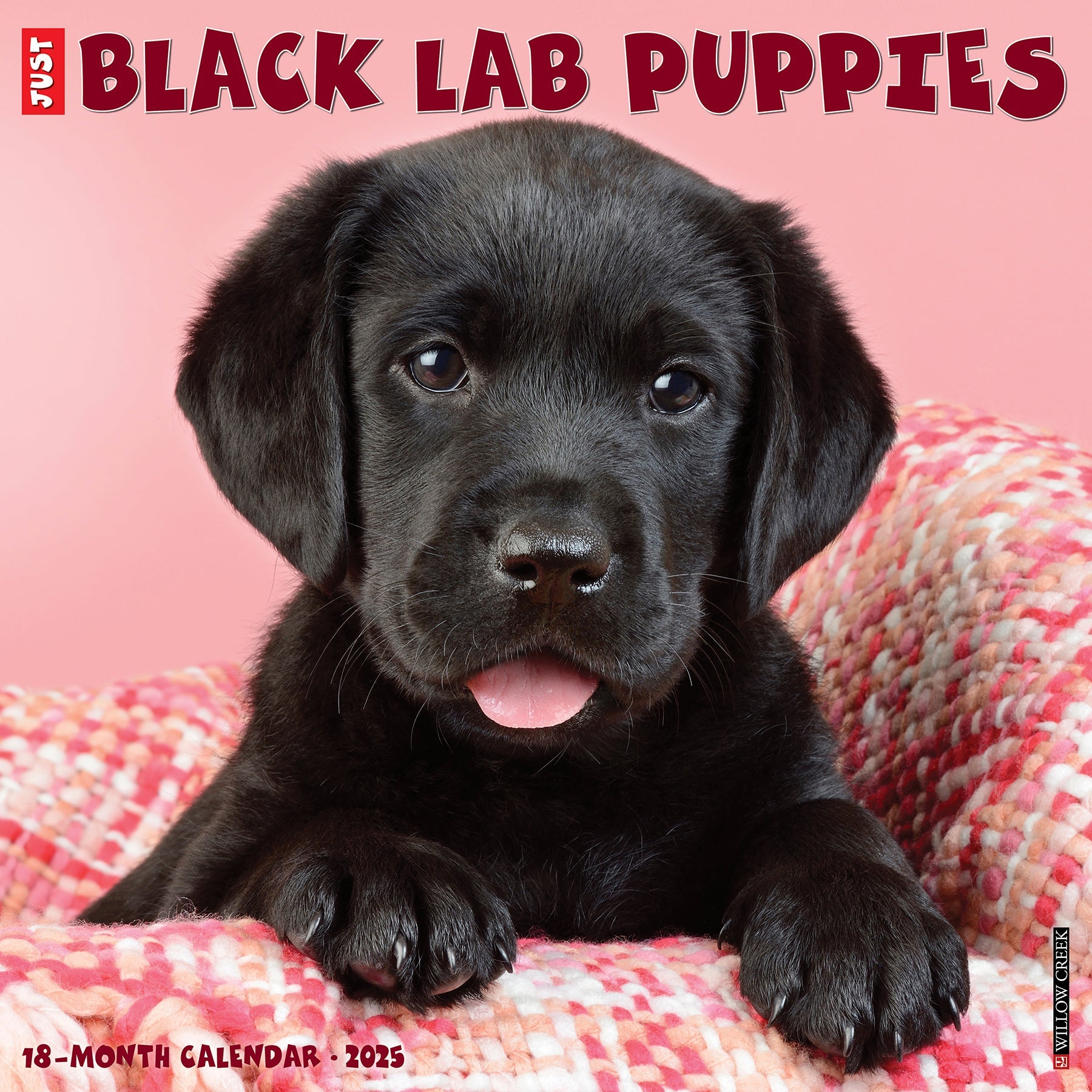 2025 Black Lab Puppies - Square Wall Calendar