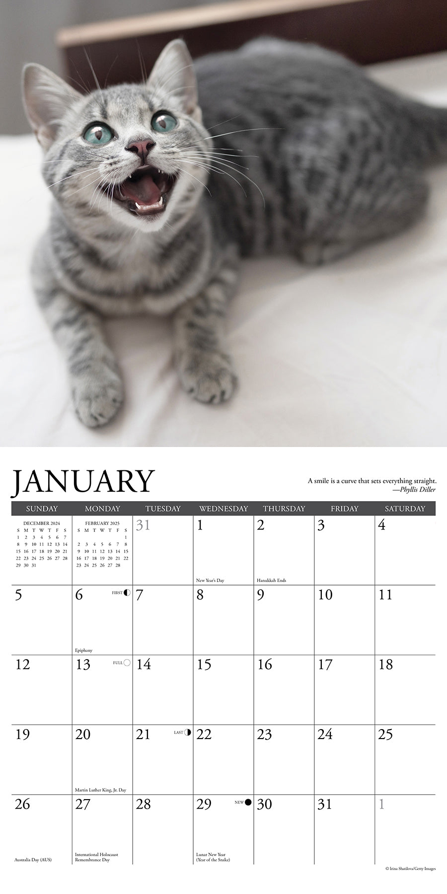 2025 Happy Cats - Square Wall Calendar