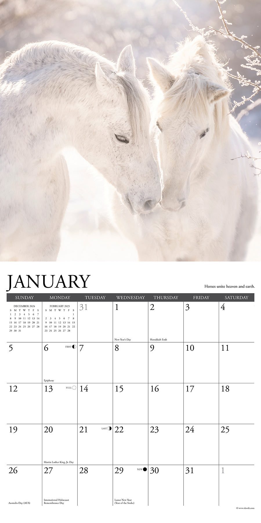2025 Happiness is a Horse - Square Wall Calendar