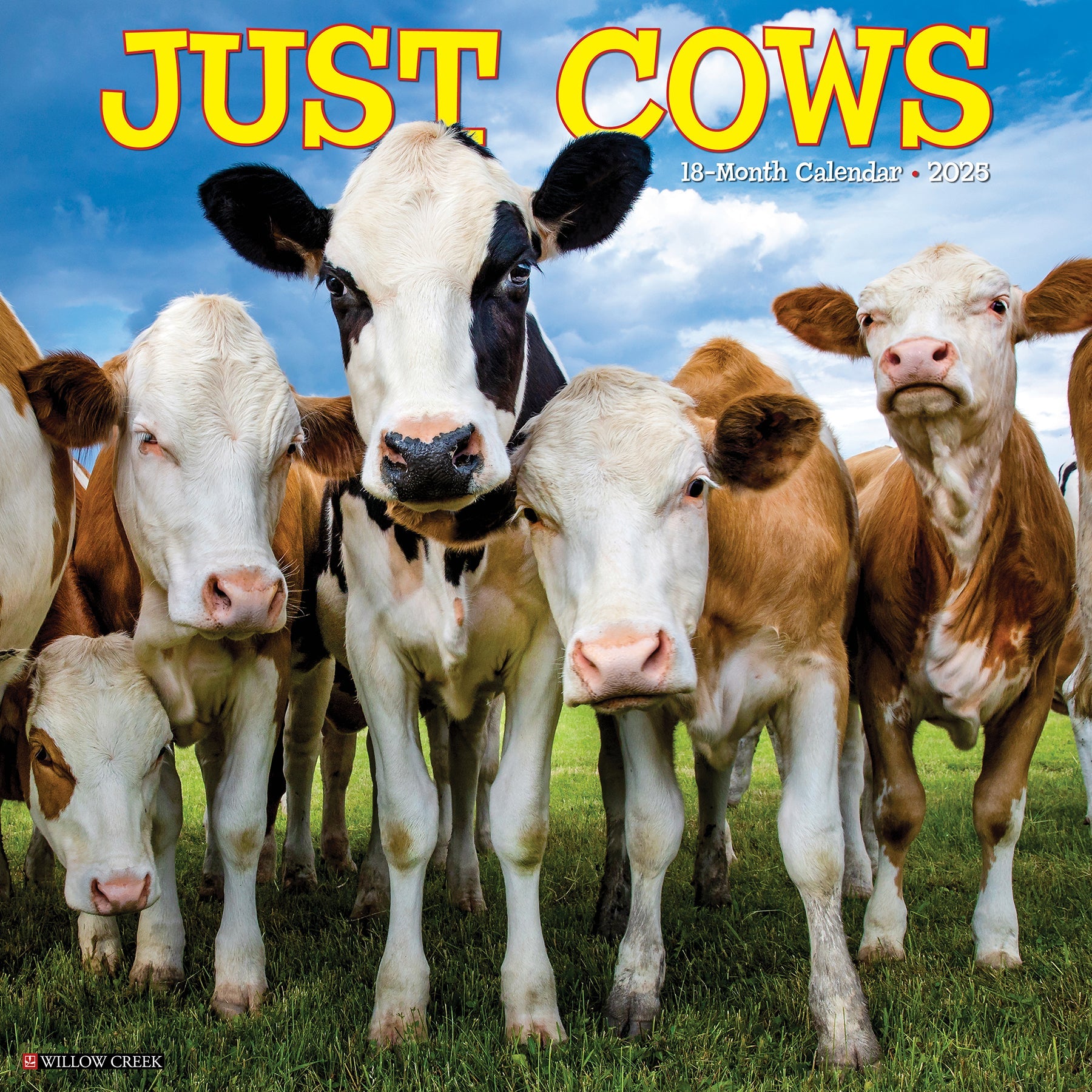 2025 Cows - Square Wall Calendar