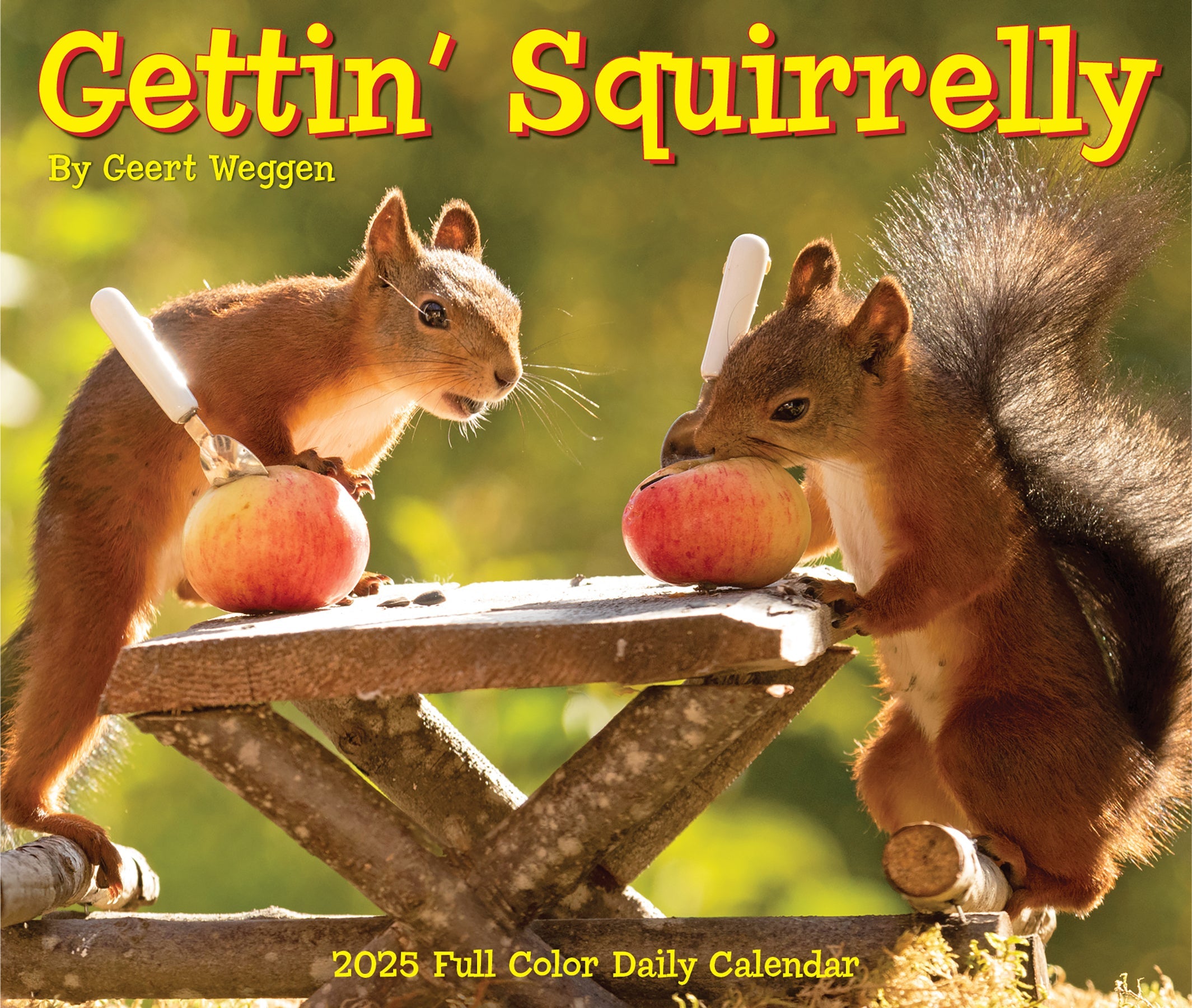 2025 Gettin' Squirrelly - Daily Boxed Page-A-Day Calendar