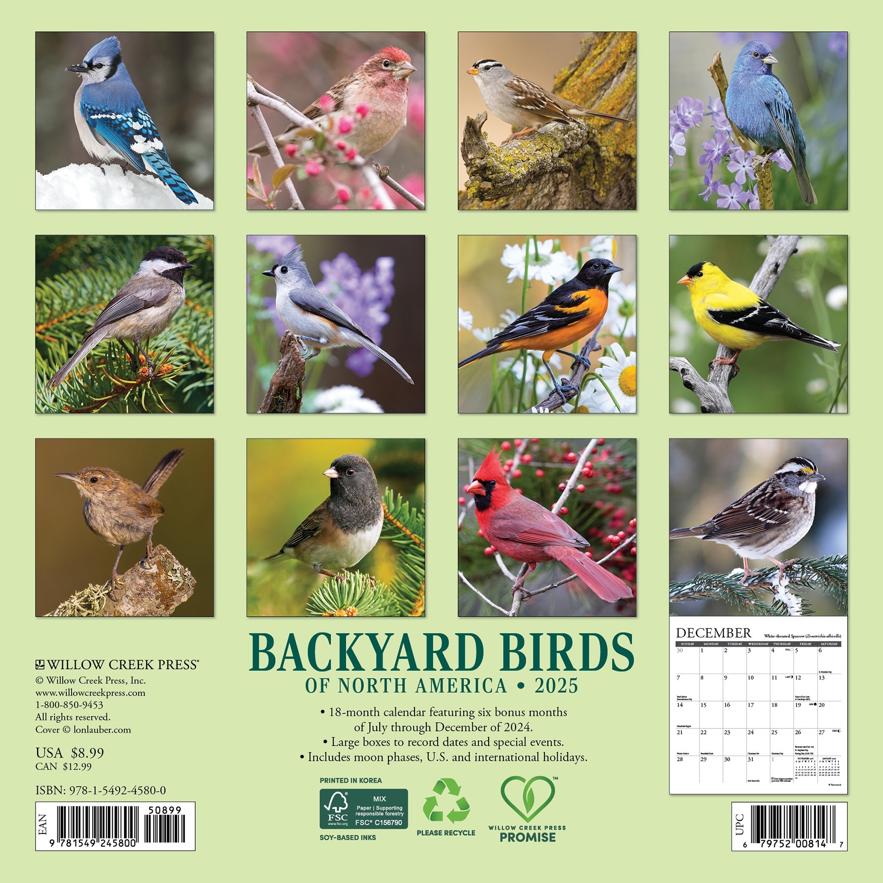 2025 Backyard Birds - Mini Wall Calendar