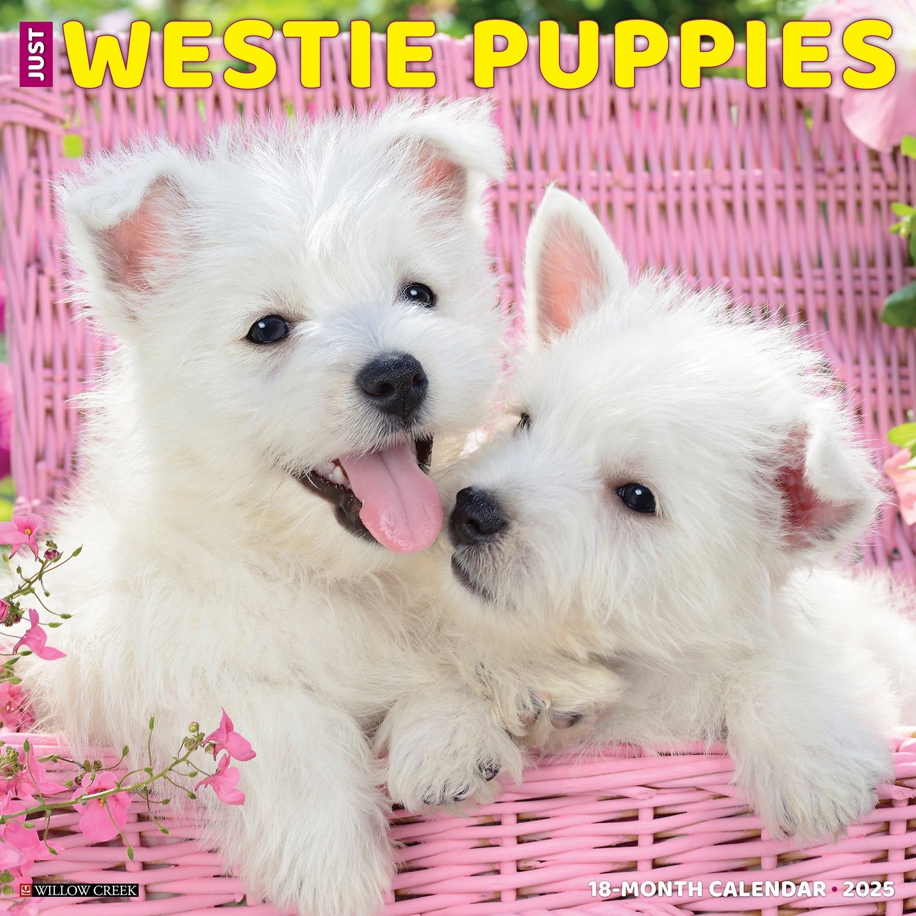2025 Westie Puppies - Square Wall Calendar