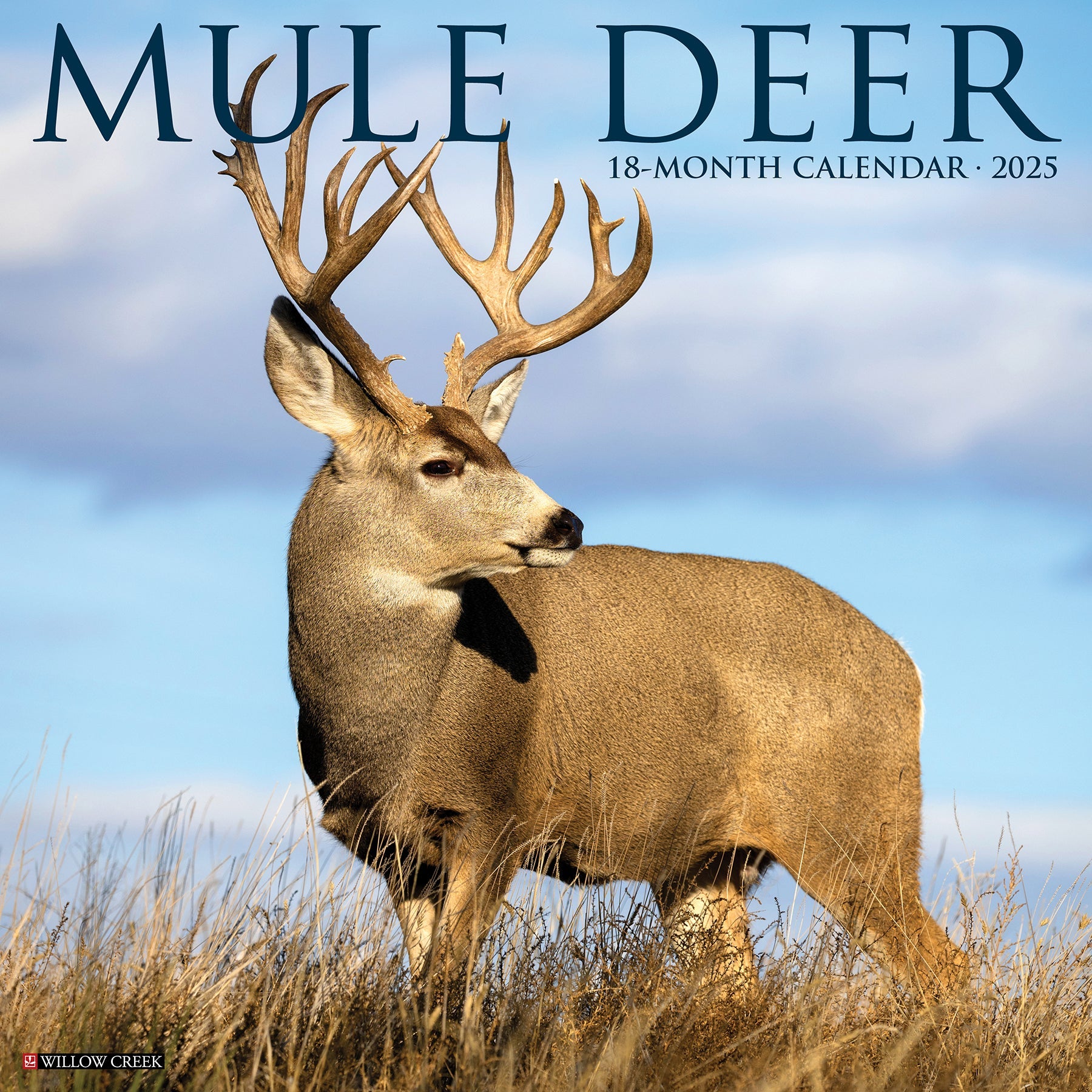 2025 Mule Deer - Square Wall Calendar