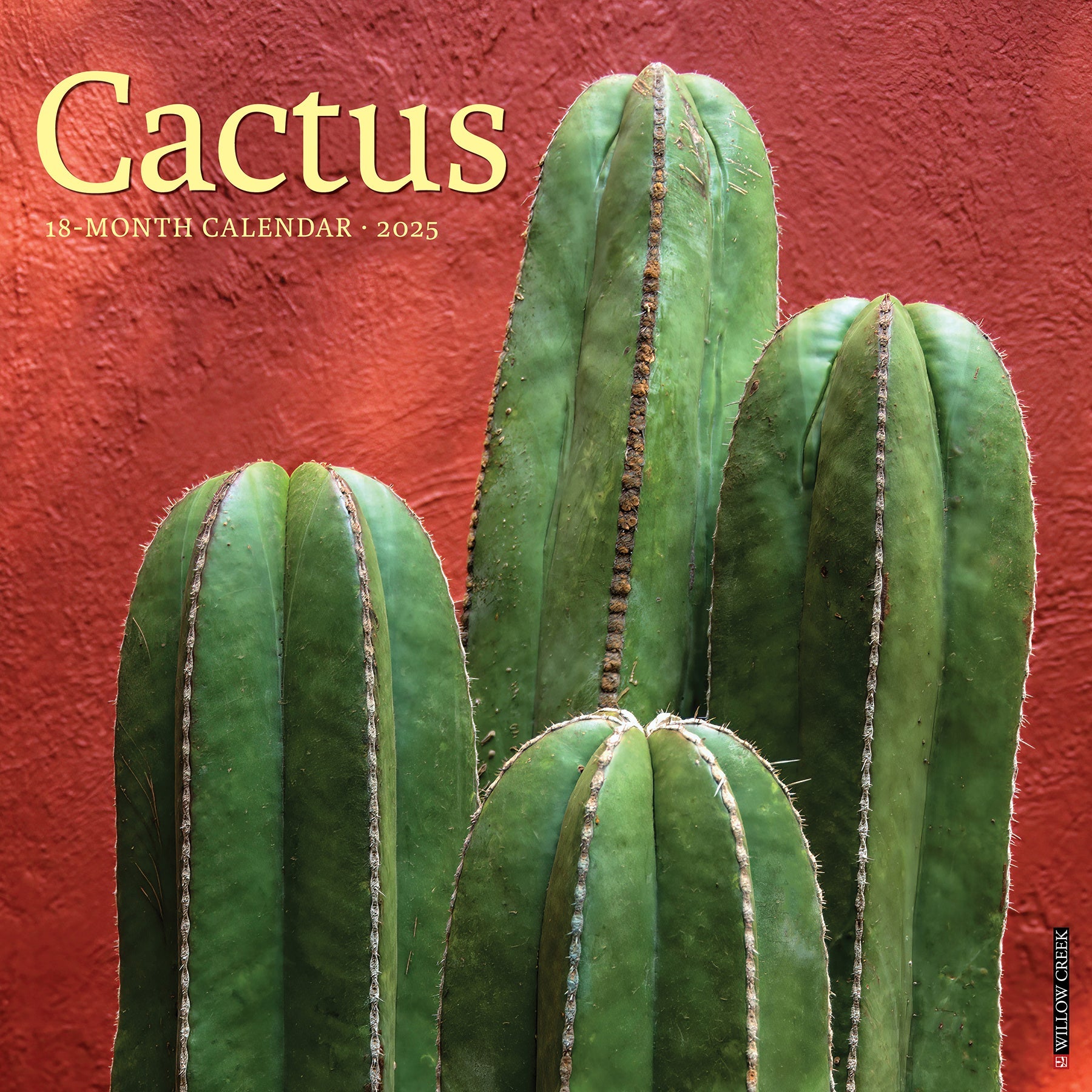 2025 Cactus - Square Wall Calendar