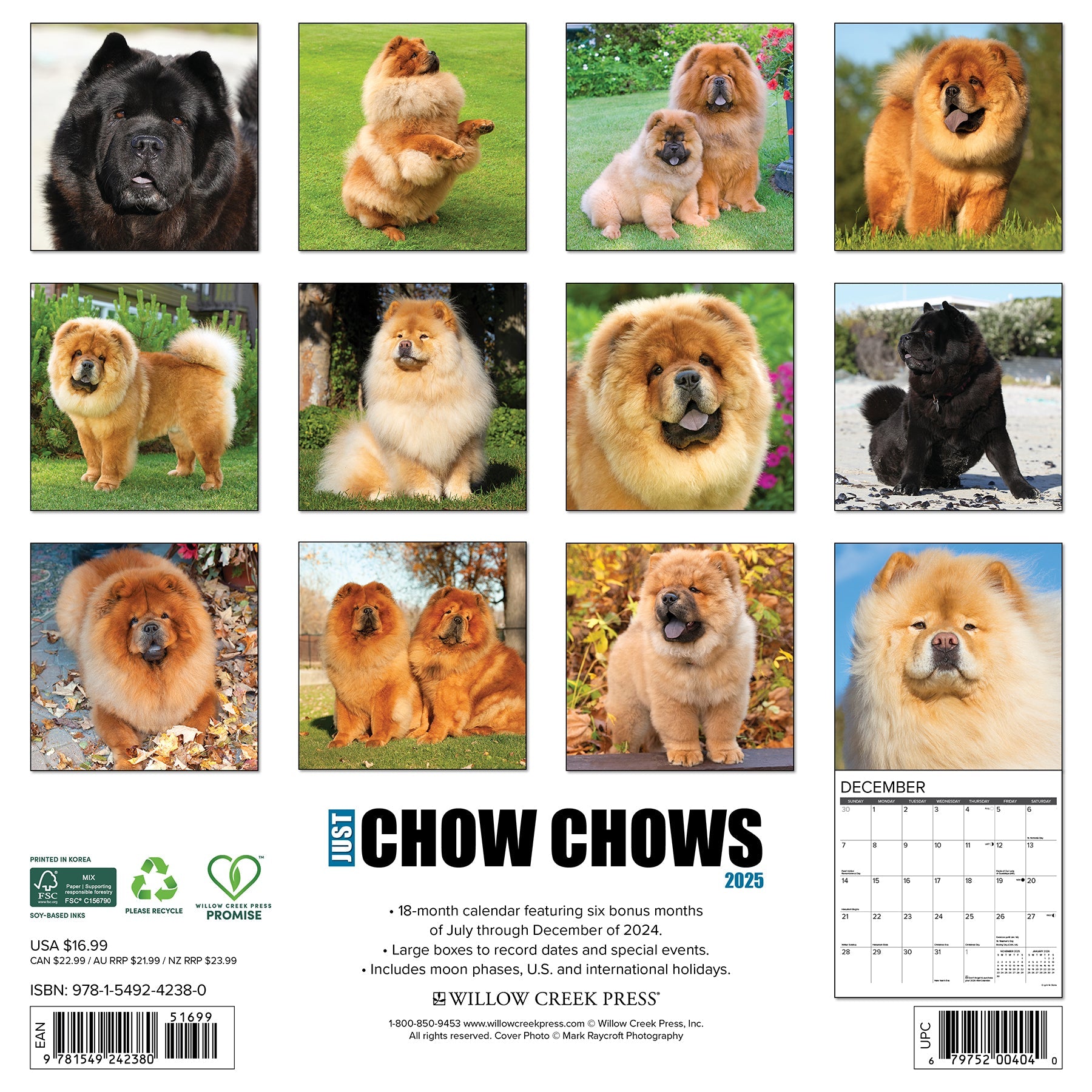 2025 Chow Chows - Square Wall Calendar