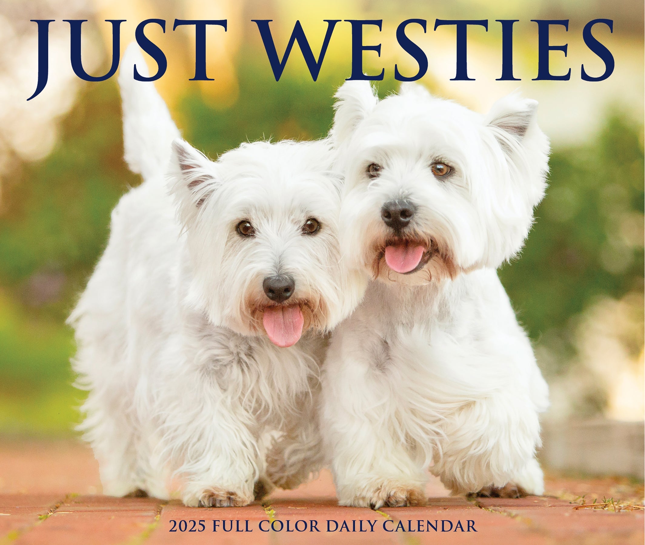 2025 Westies - Daily Boxed Page-A-Day Calendar