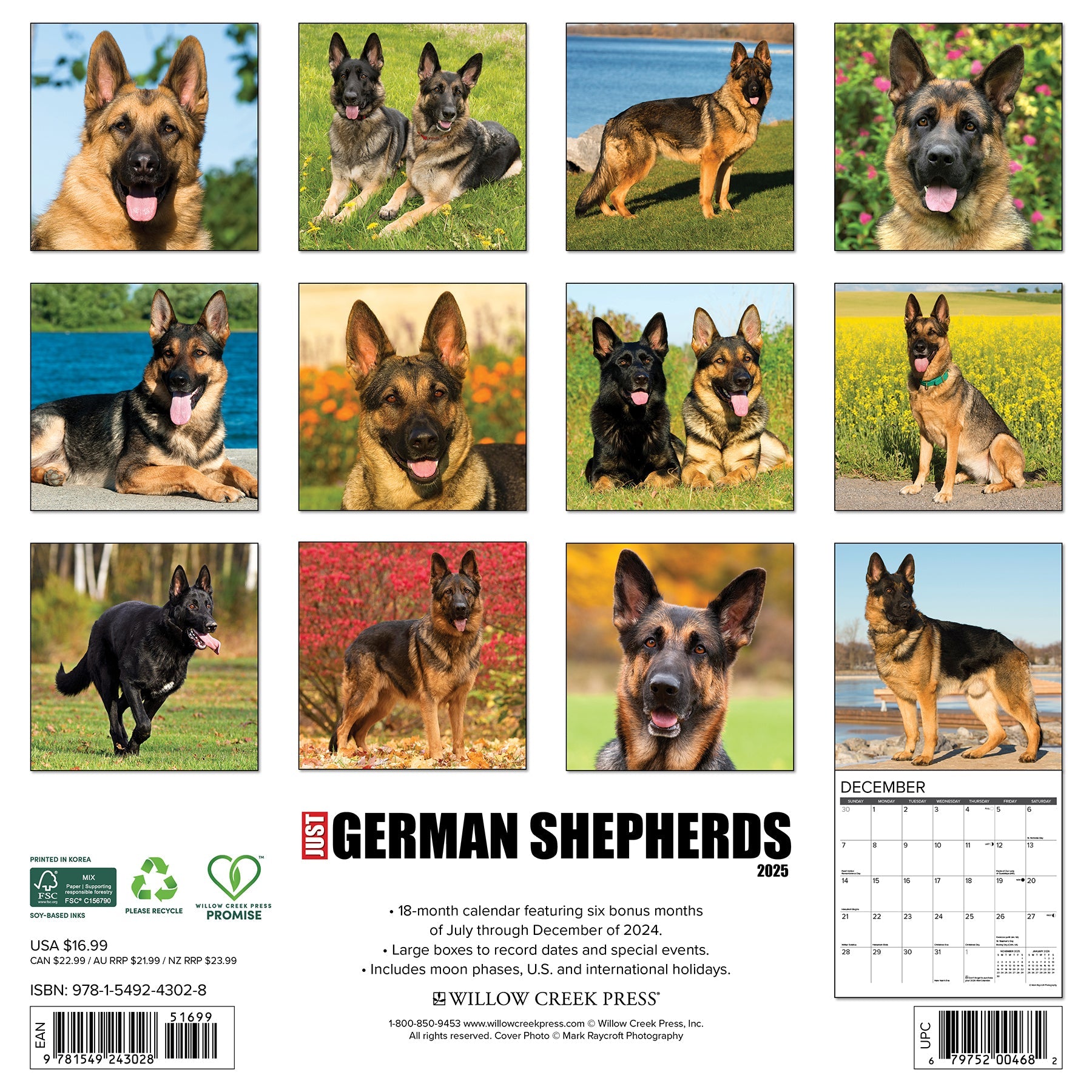 2025 German Shepherds - Square Wall Calendar