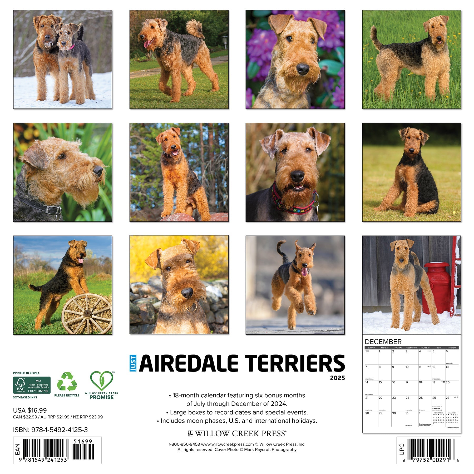 2025 Airedale Terriers - Square Wall Calendar