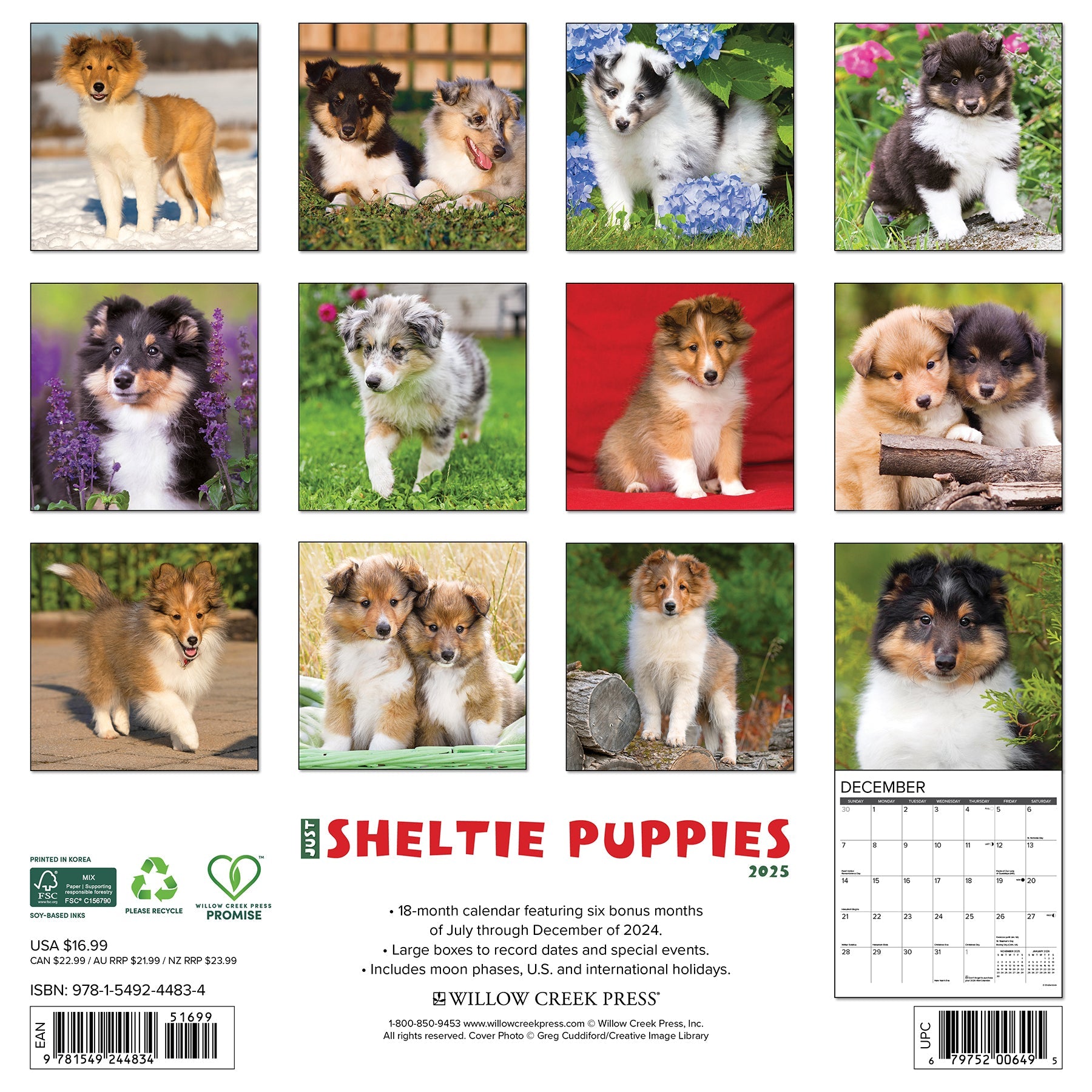 2025 Sheltie Puppies - Square Wall Calendar