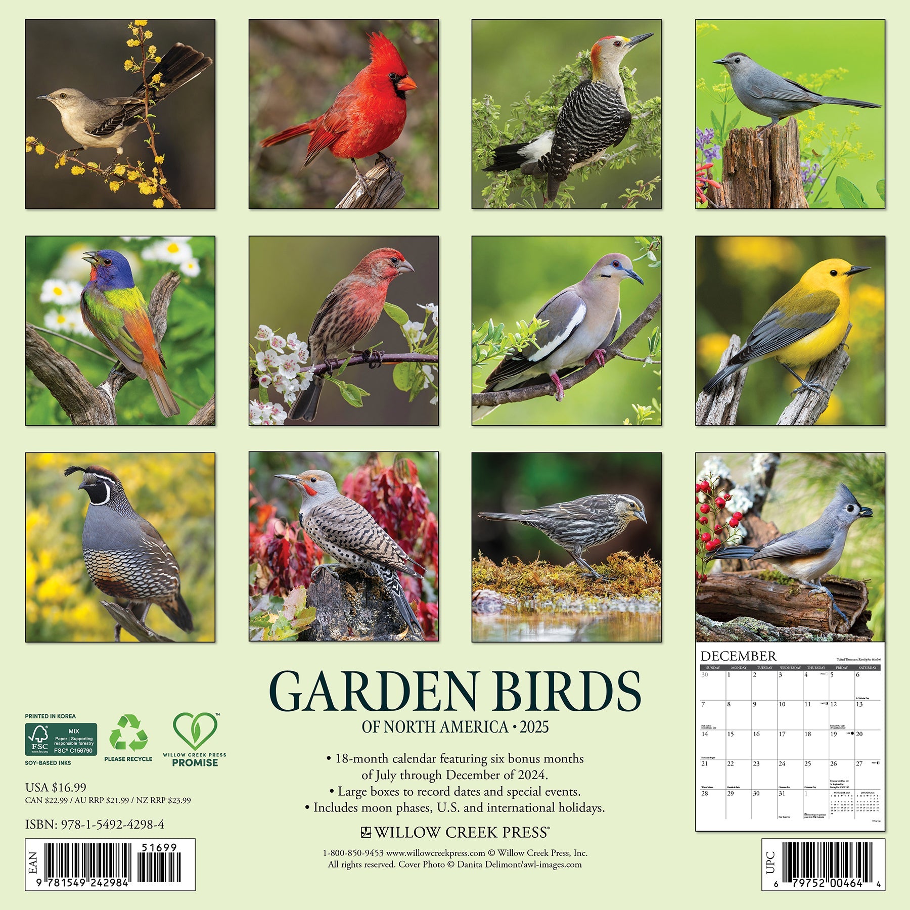 2025 Garden Birds - Square Wall Calendar