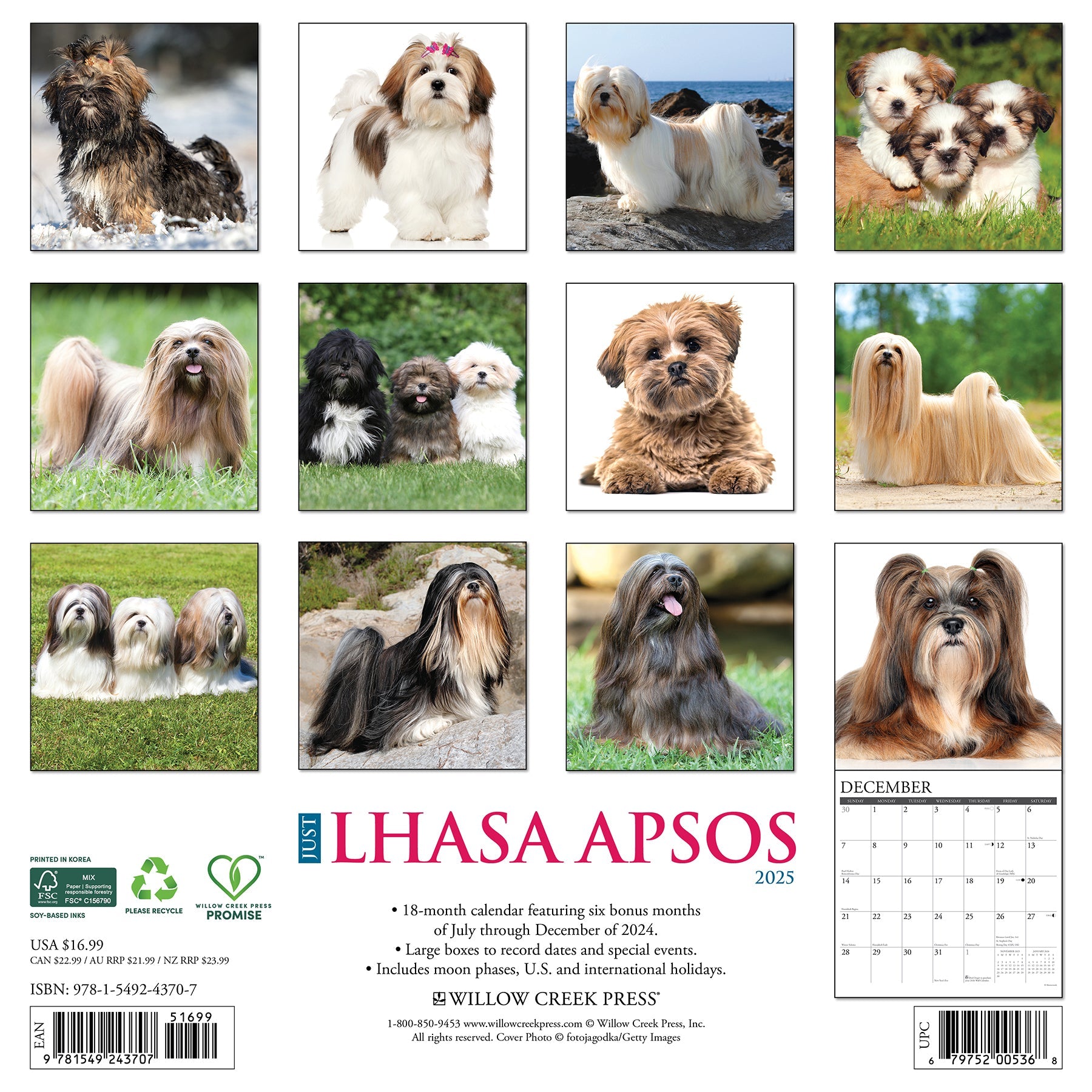 2025 Lhasa Apsos - Square Wall Calendar