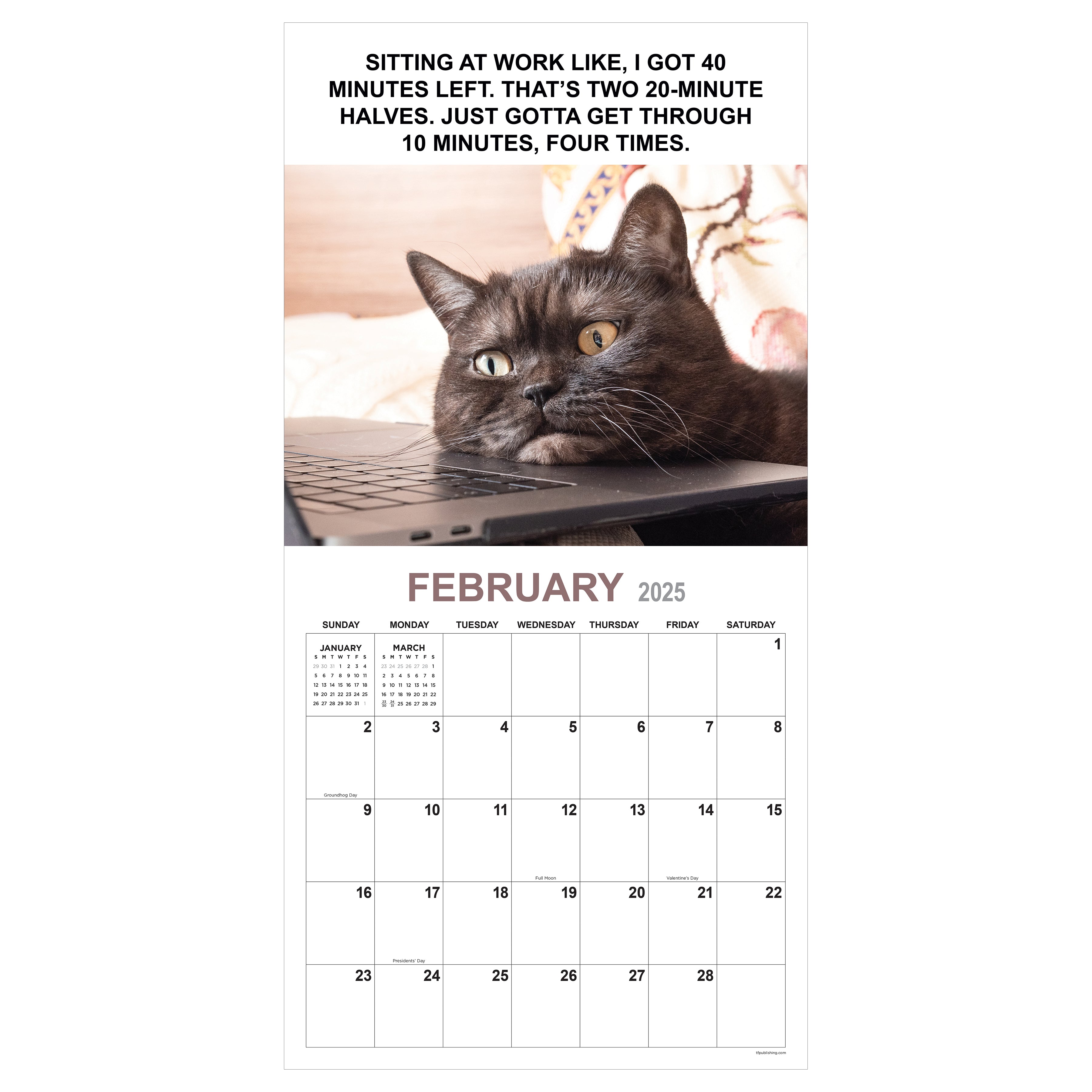 2025 Corporate Cats - Square Wall Calendar