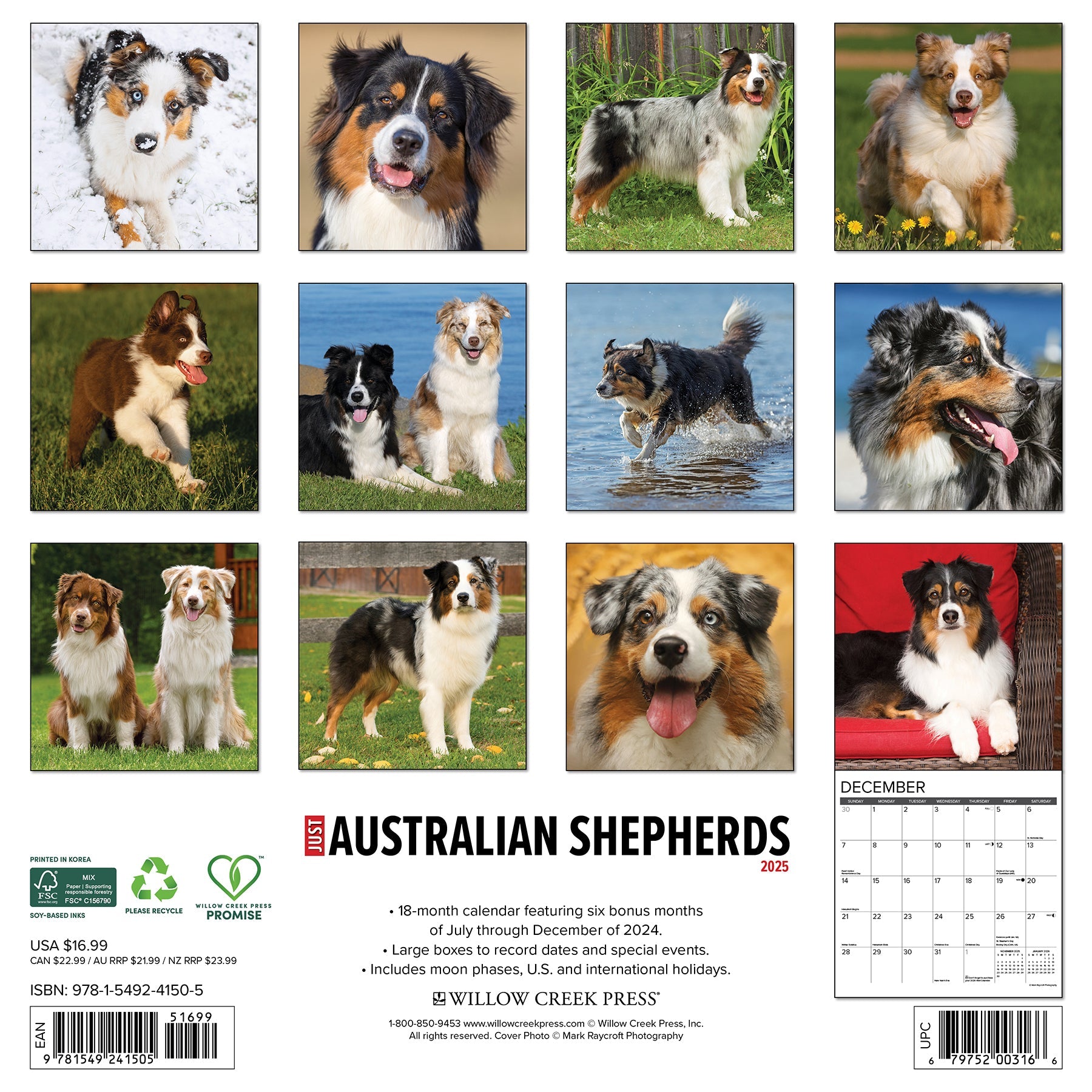 2025 Australian Shepherds - Square Wall Calendar