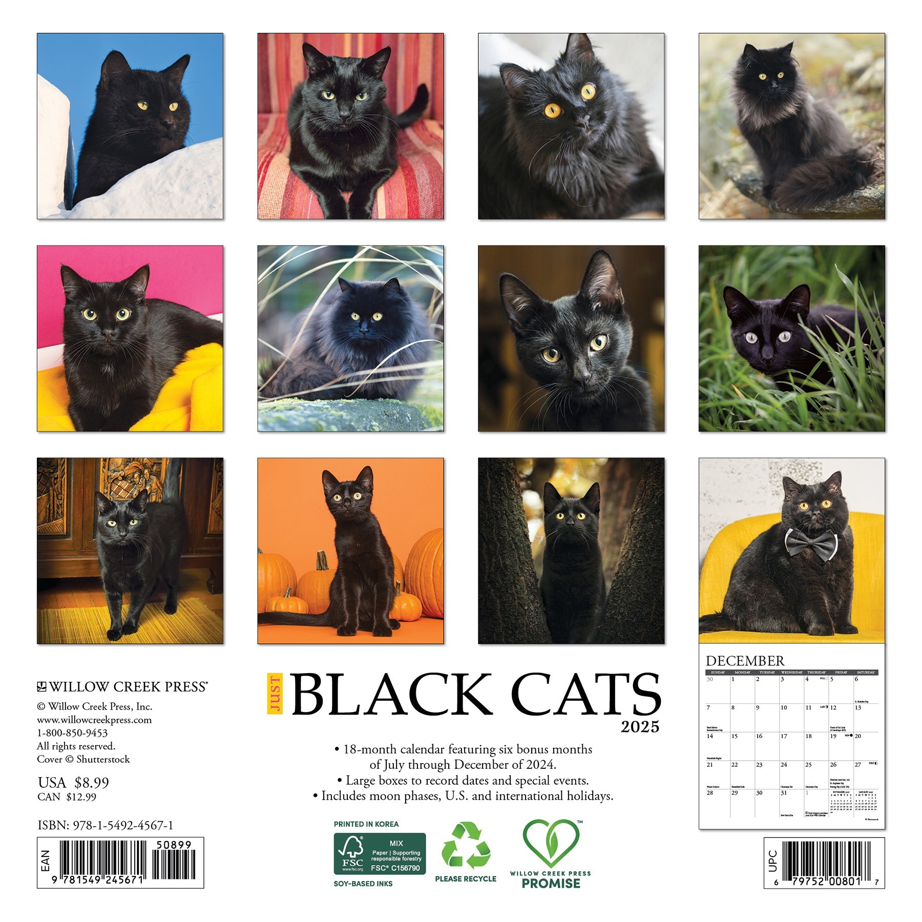 2025 Black Cats - Mini Wall Calendar