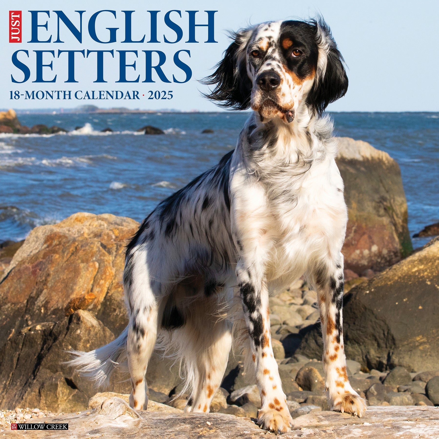 2025 English Setters - Square Wall Calendar