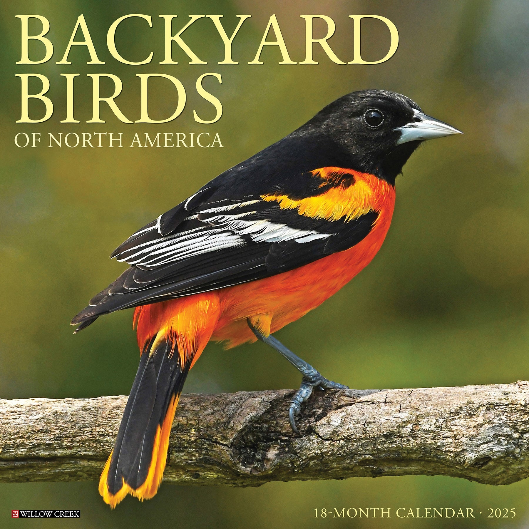 2025 Backyard Birds - Square Wall Calendar