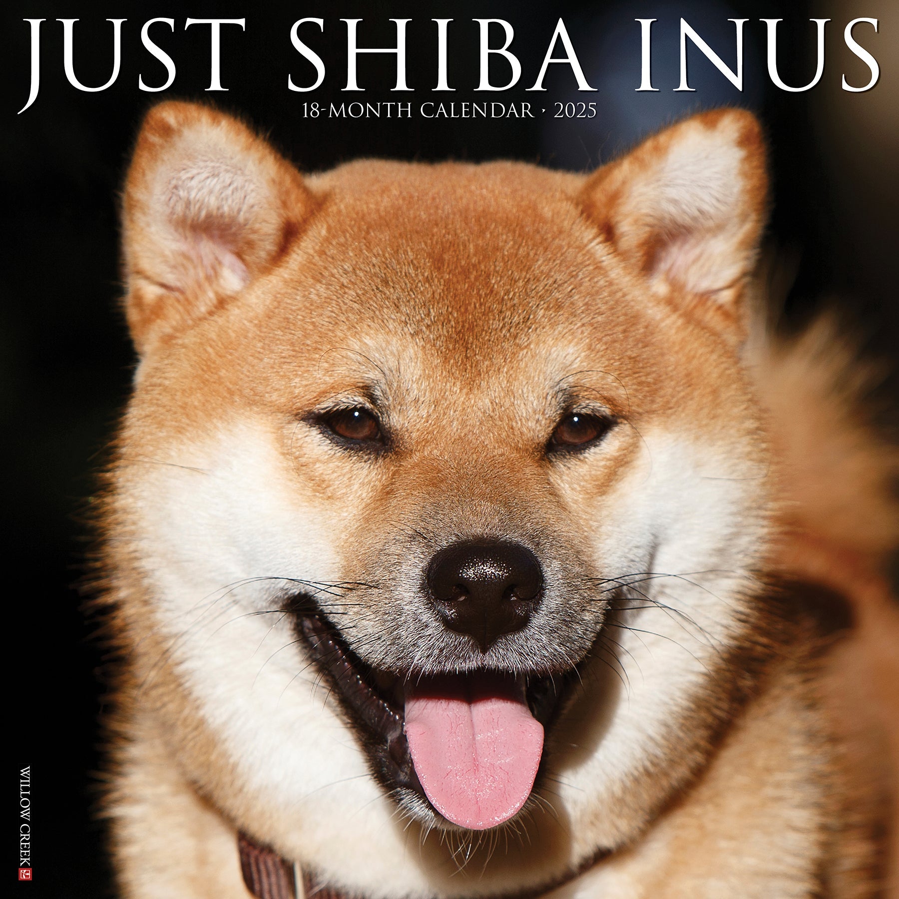 2025 Shiba Inus - Square Wall Calendar