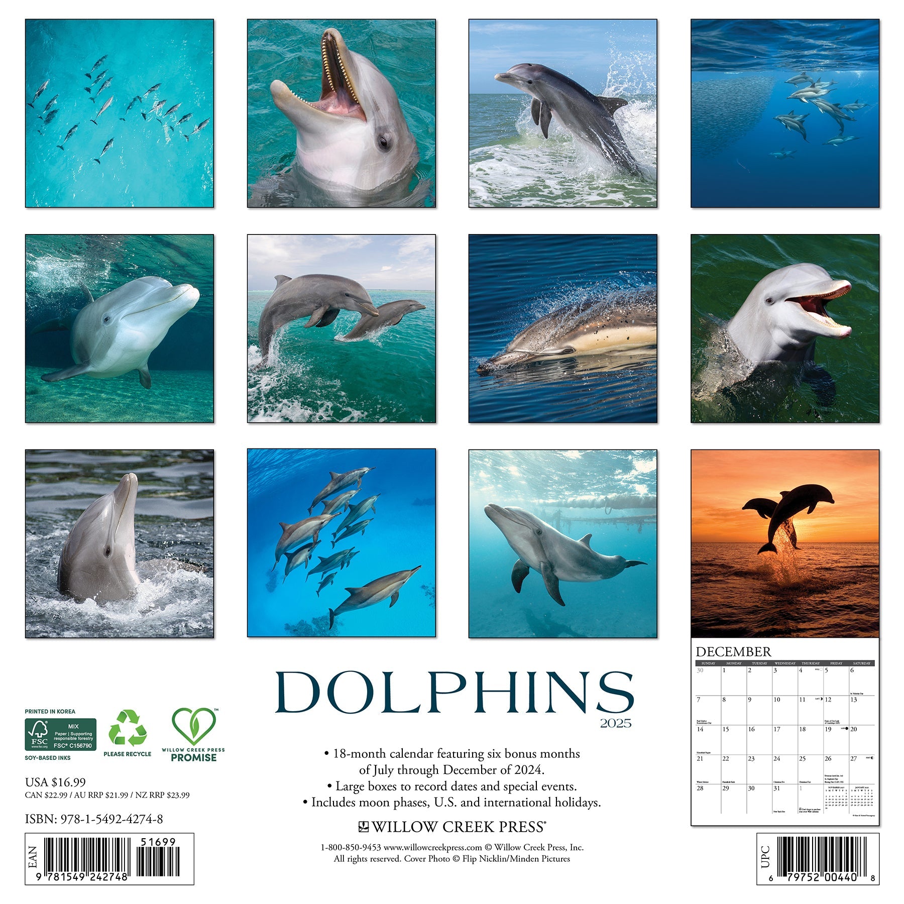 2025 Dolphins - Square Wall Calendar