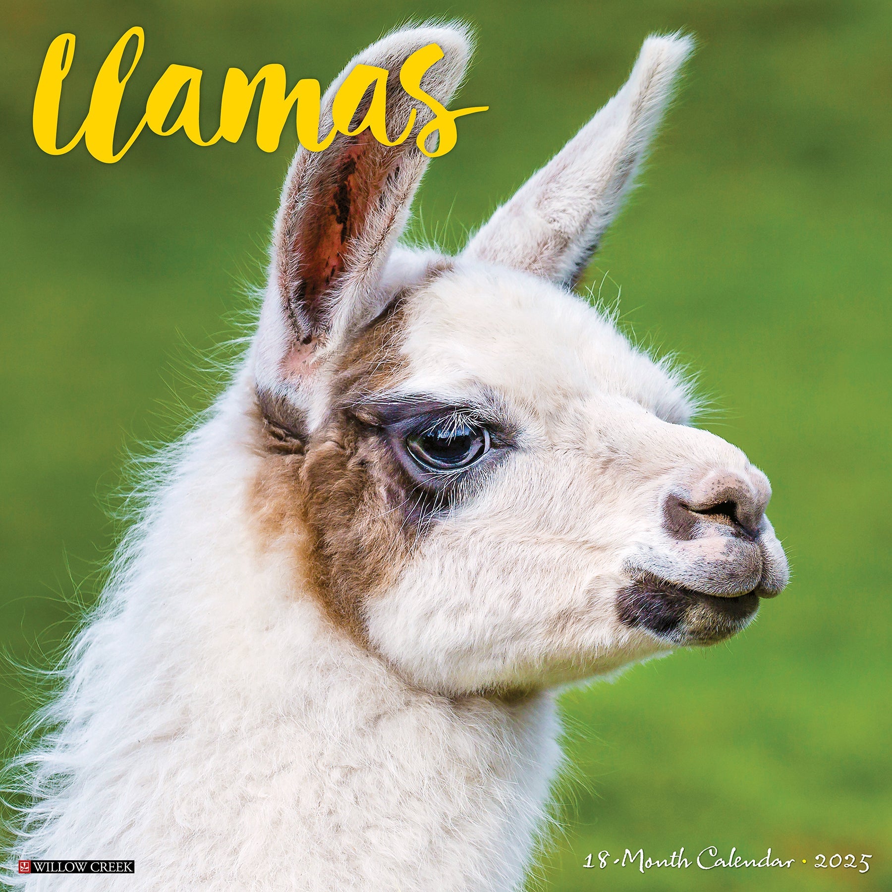 2025 Llamas - Square Wall Calendar