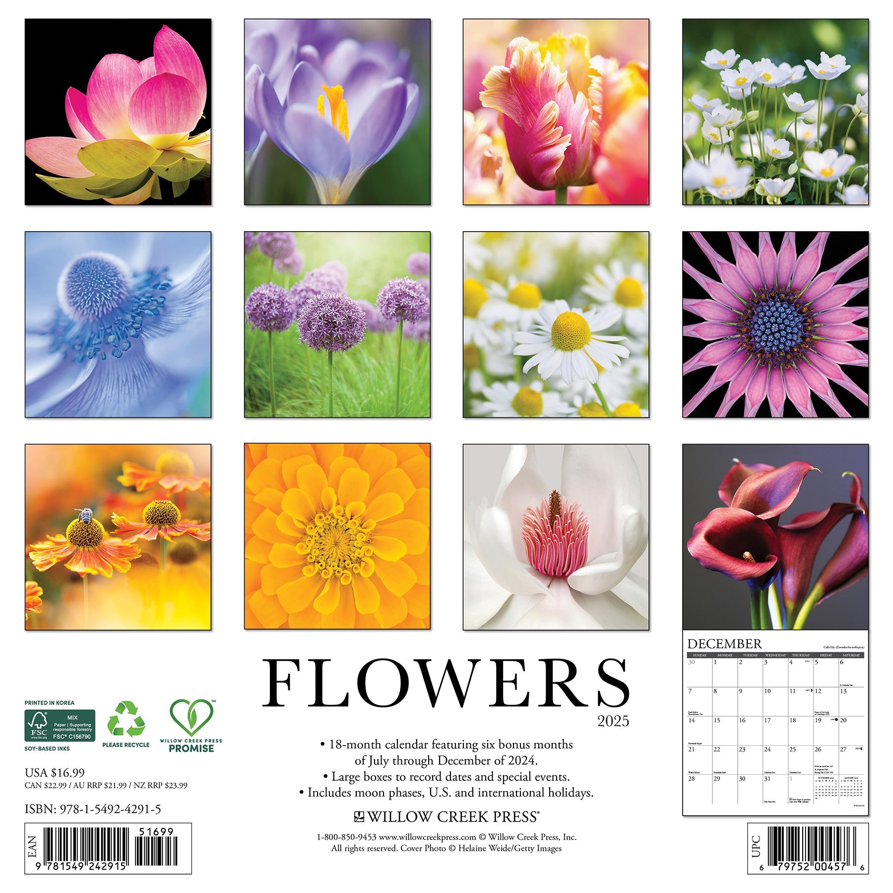 2025 Flowers - Square Wall Calendar