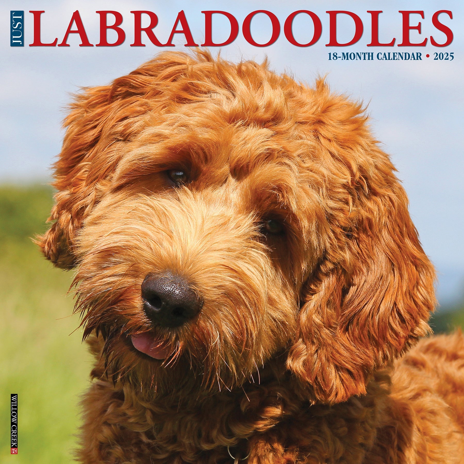 2025 Labradoodles - Square Wall Calendar