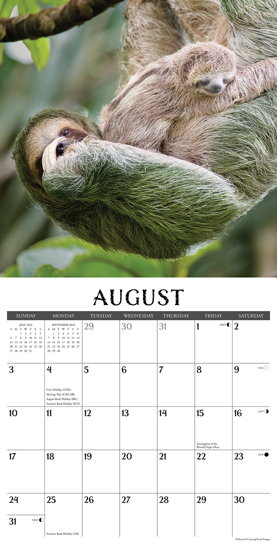 2025 Sloths - Square Wall Calendar