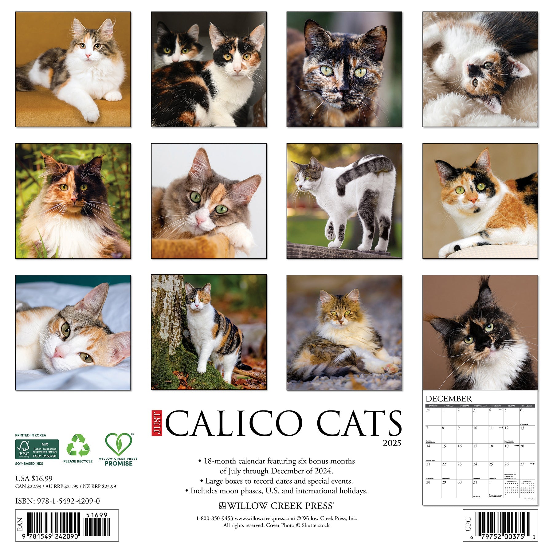 2025 Calico Cats - Square Wall Calendar