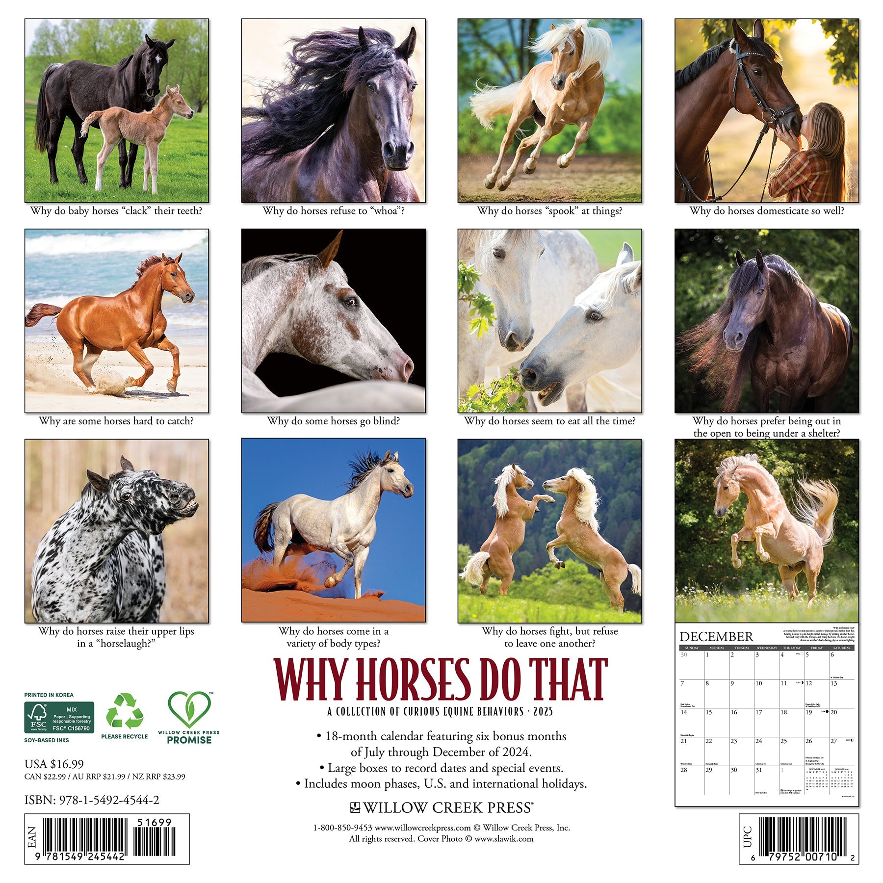 2025 Why Horses Do That - Square Wall Calendar