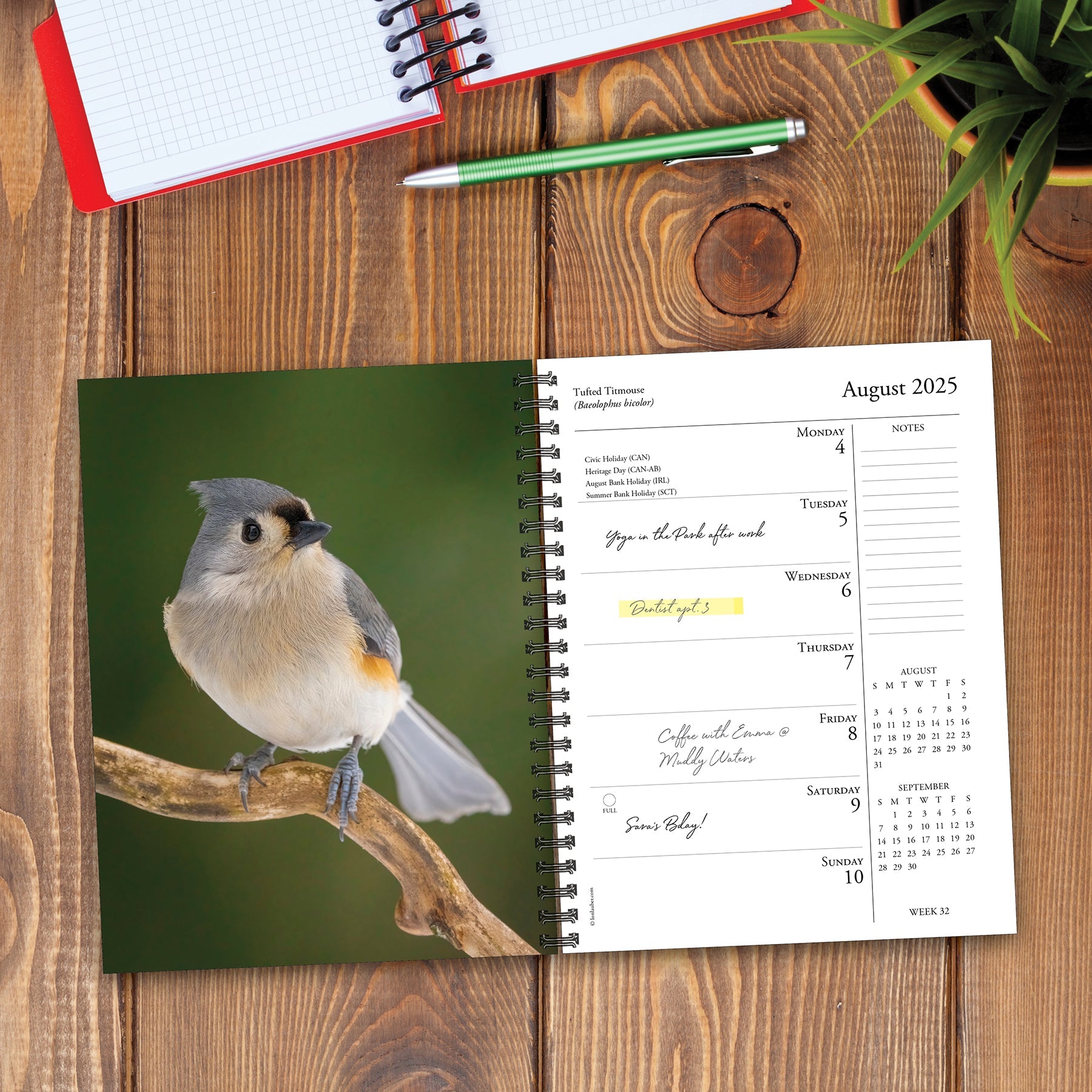 2025 Backyard Birds - Weekly Diary/Planner