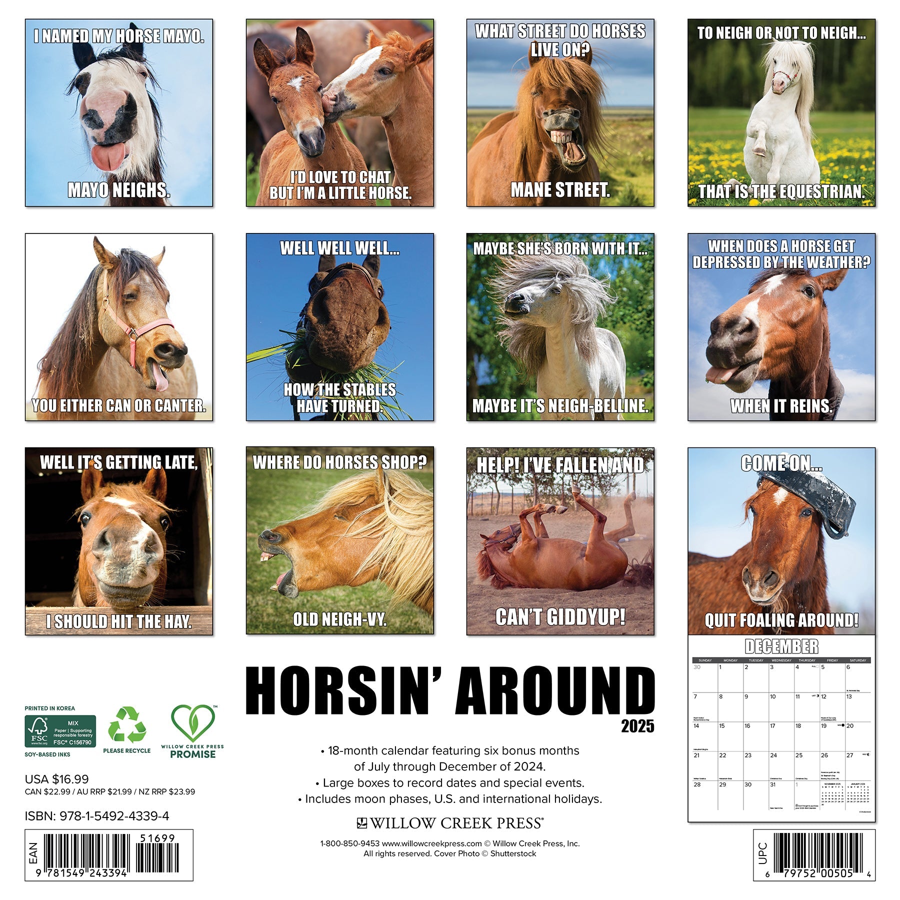 2025 Horsin Around - Square Wall Calendar