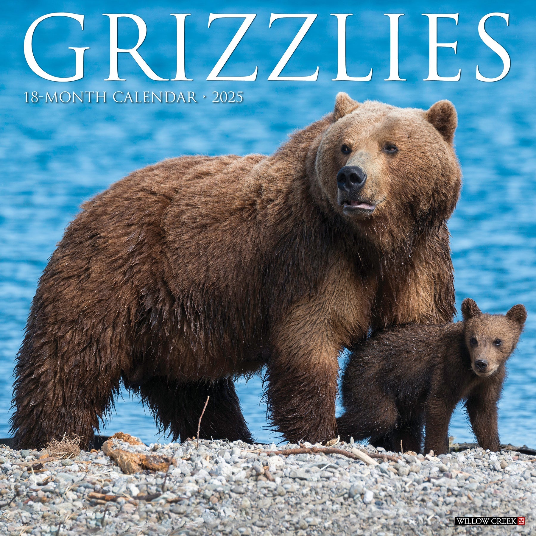 2025 Grizzlies - Square Wall Calendar