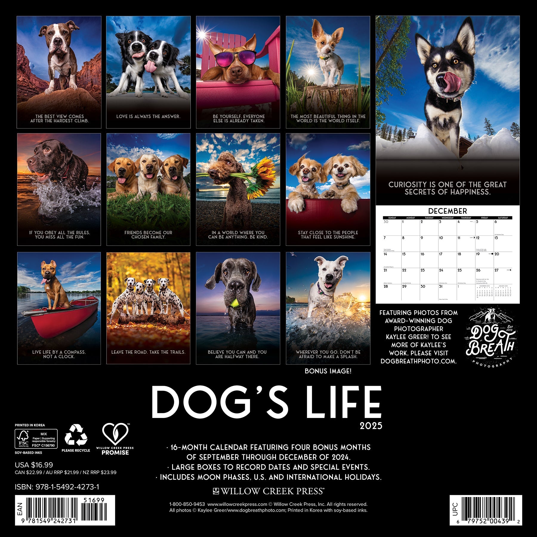 2025 Dog's Life - Square Wall Calendar