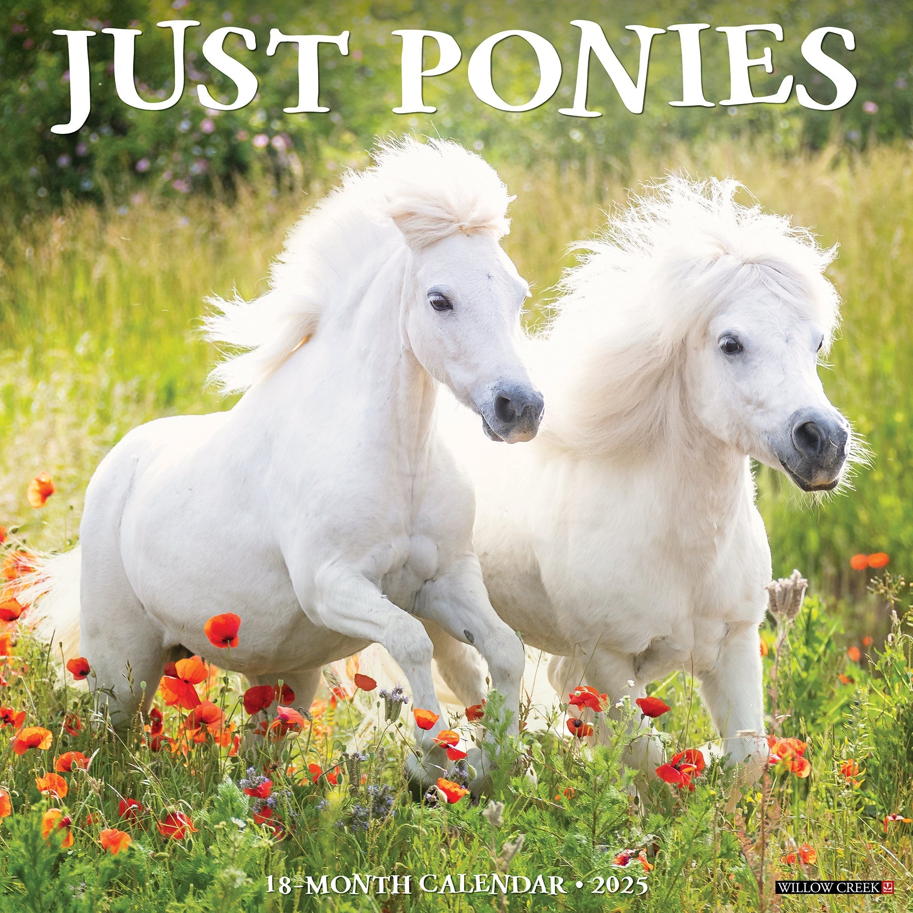 2025 Ponies - Square Wall Calendar