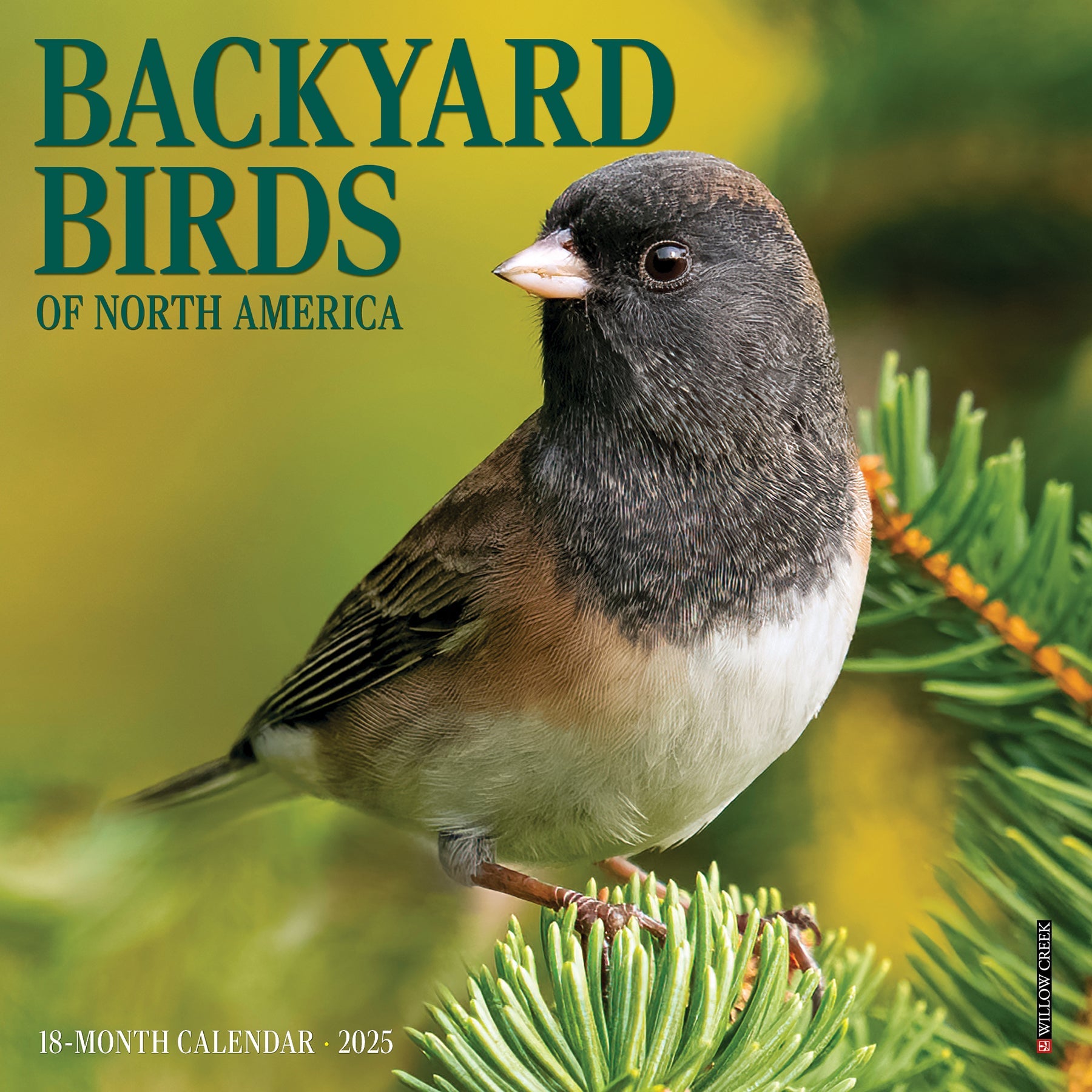 2025 Backyard Birds - Mini Wall Calendar