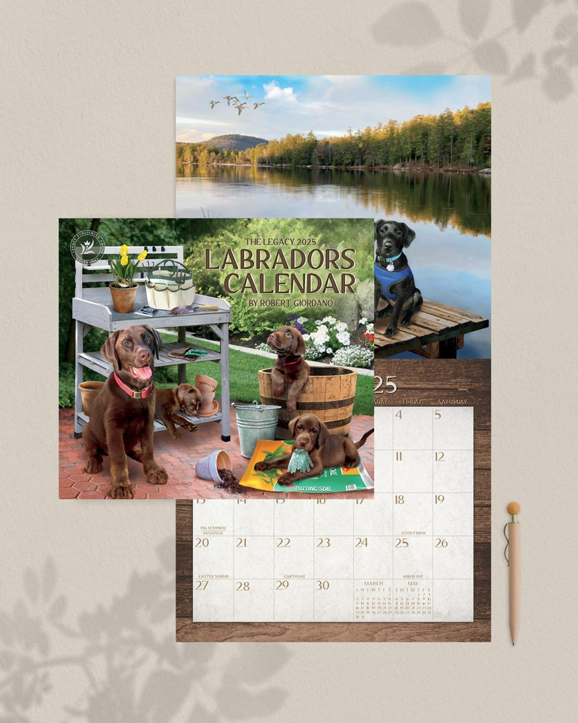 2025 Labradors - Legacy Deluxe Wall Calendar