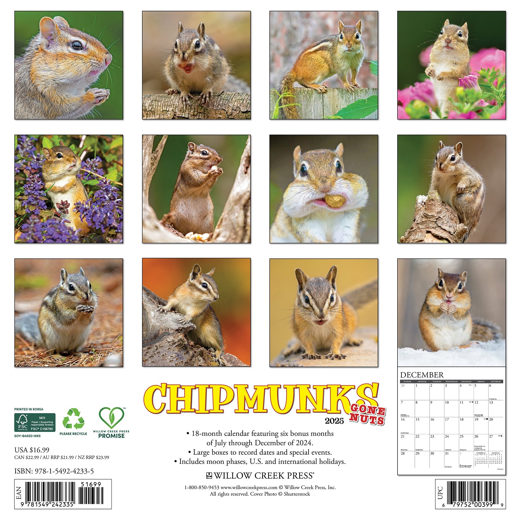 2025 Chipmunks (Gone Nuts!) - Square Wall Calendar