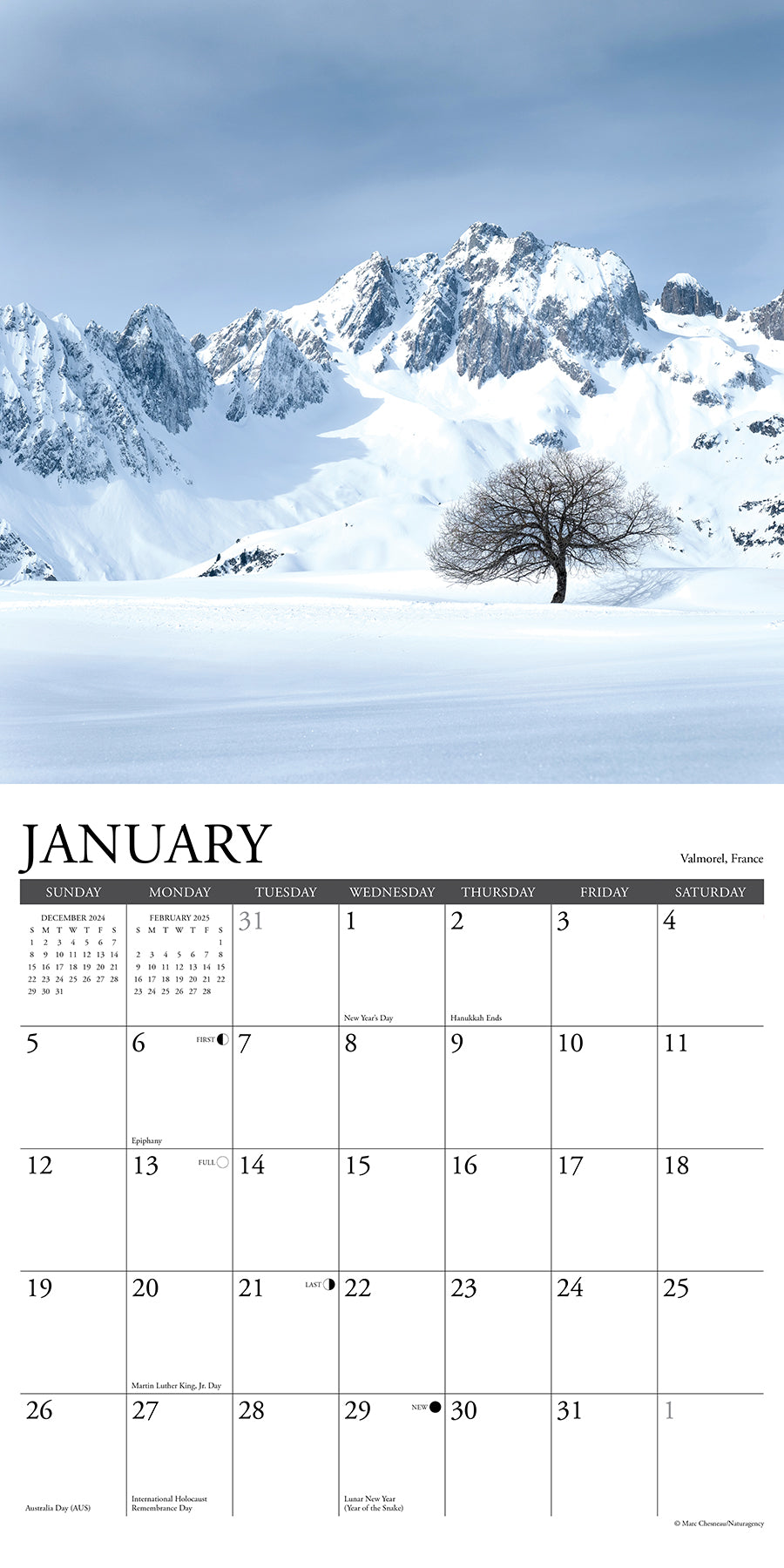 2025 Mountain View - Square Wall Calendar